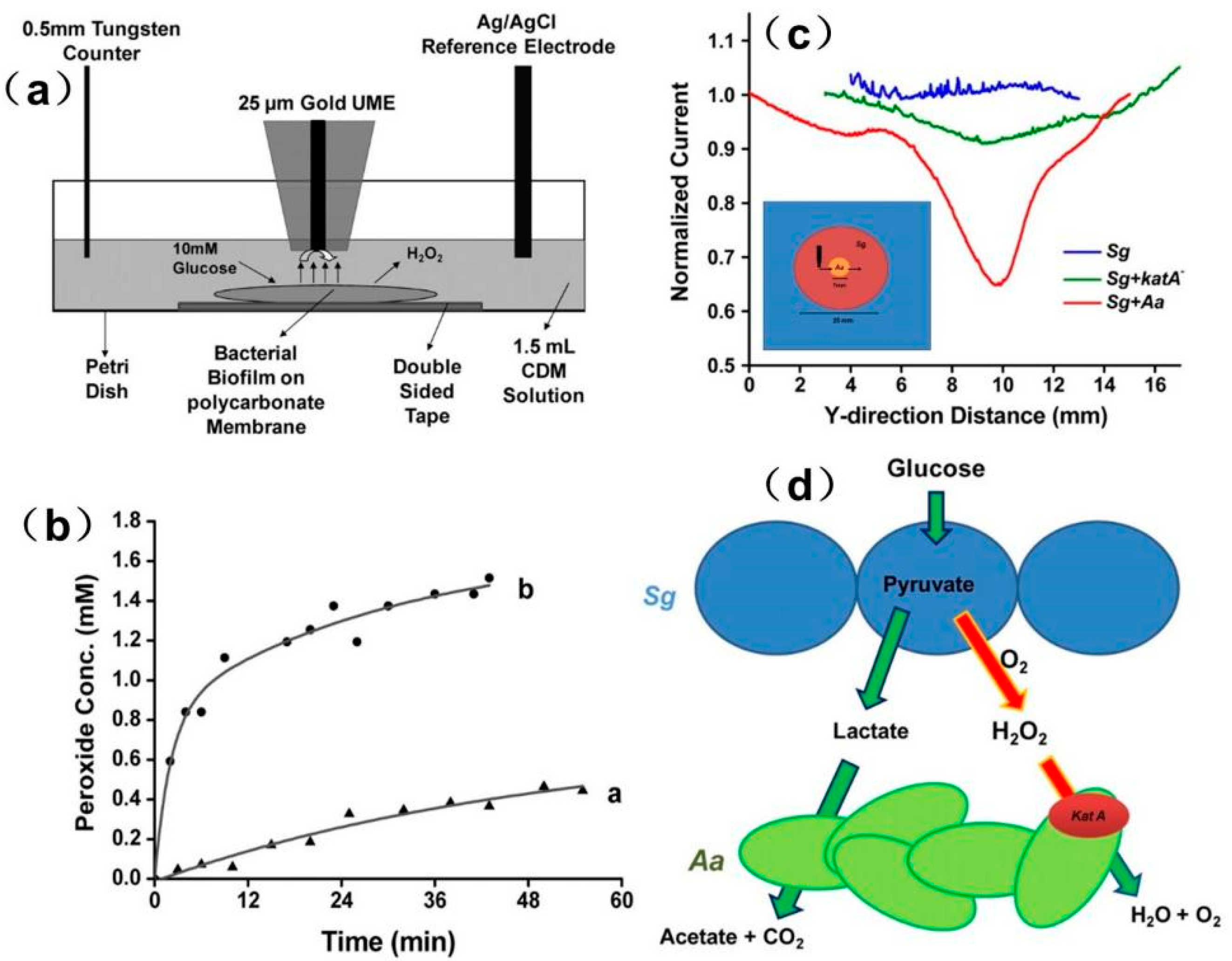 Materials 11 01389 g017 Materials 11 01389 g017