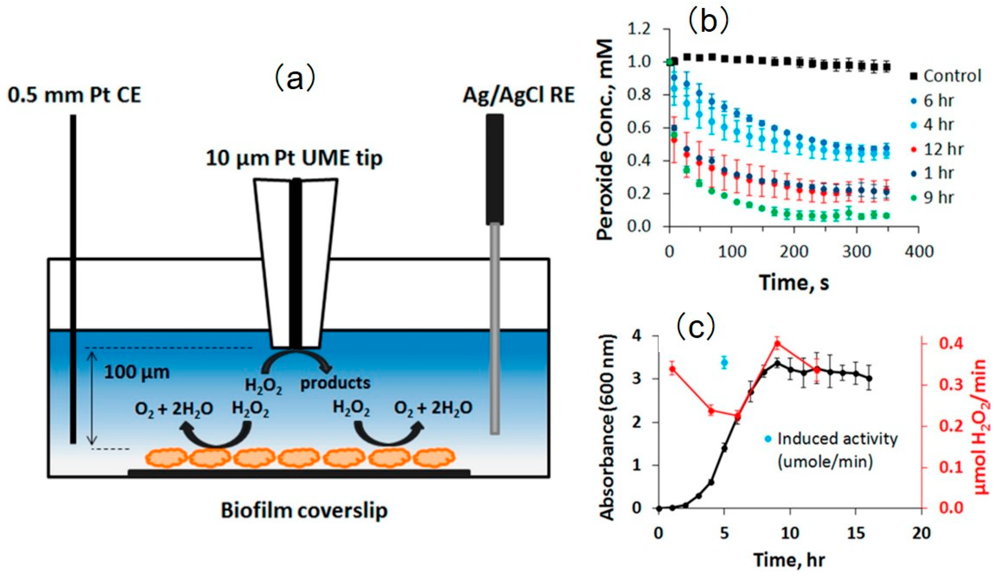 Materials 11 01389 g018 Materials 11 01389 g018