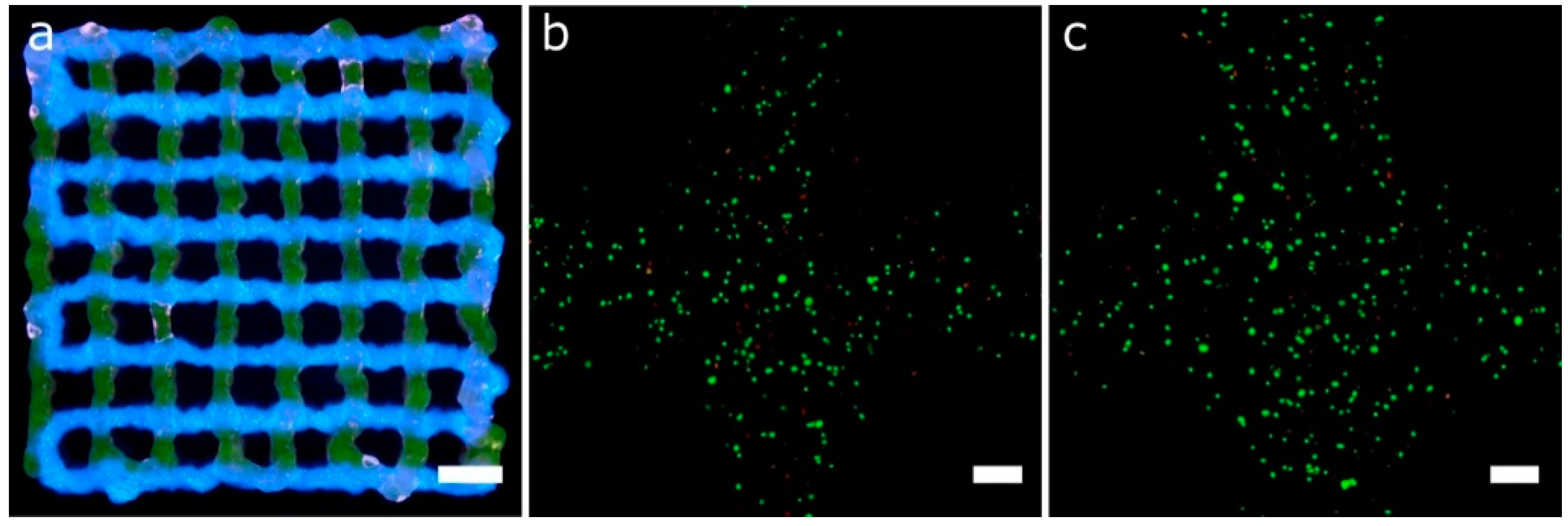 Materials 11 01402 g015