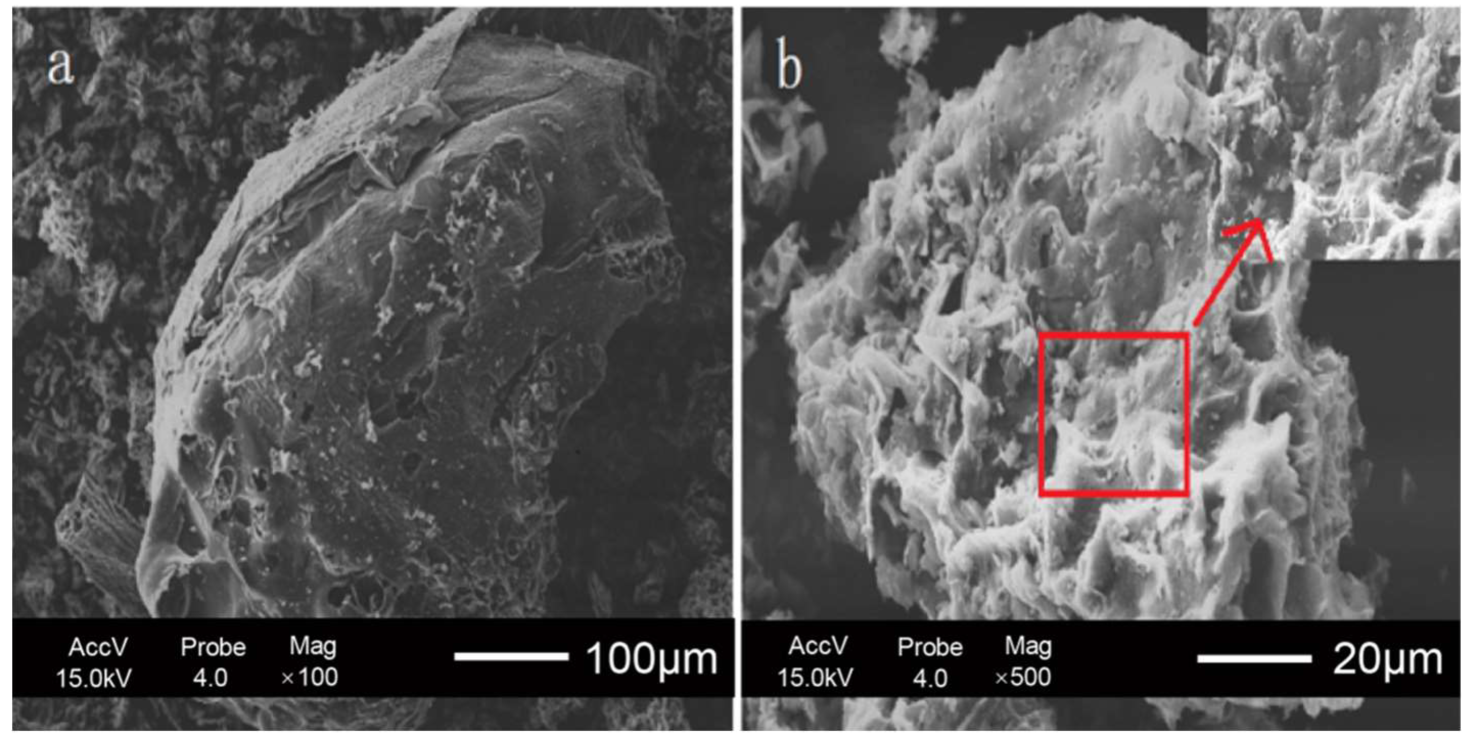 Materials 11 01407 g001