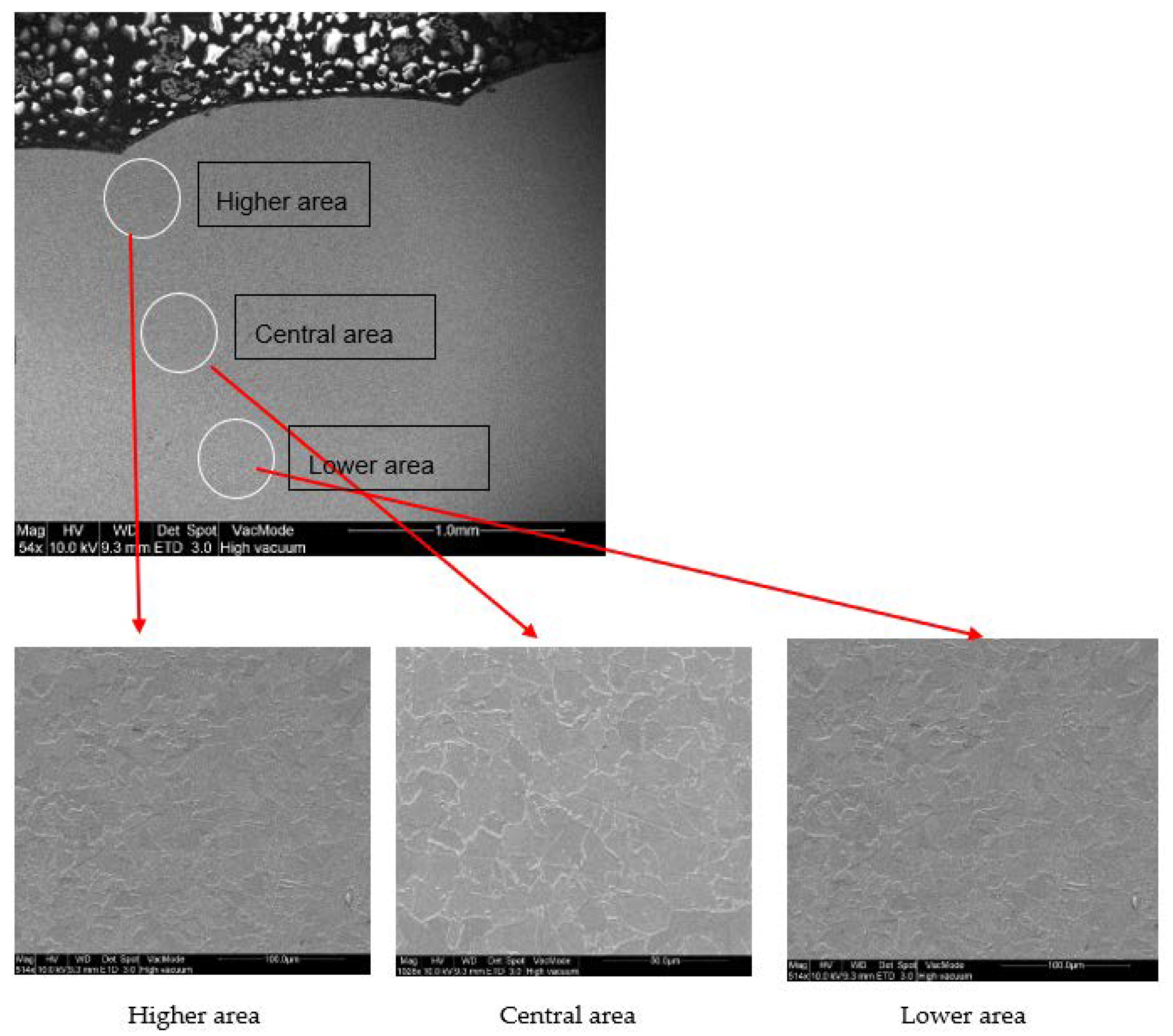 Materials 11 01449 g008