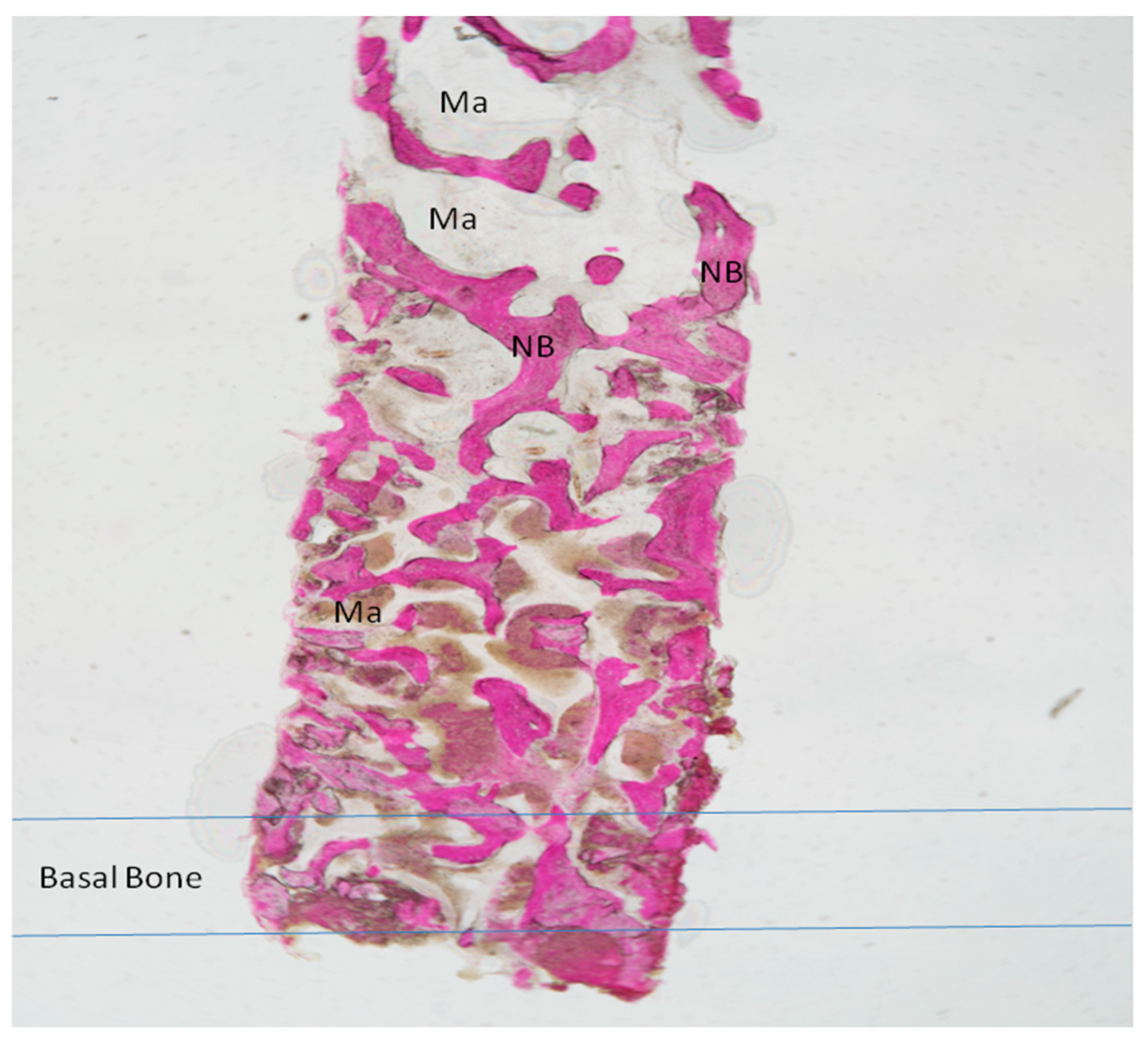 Materials 11 01457 g007