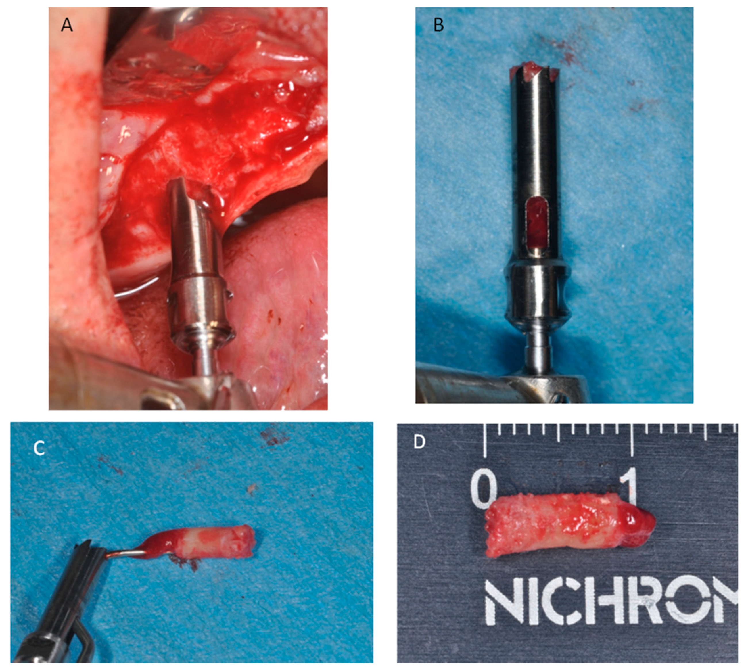 Materials 11 01457 g012