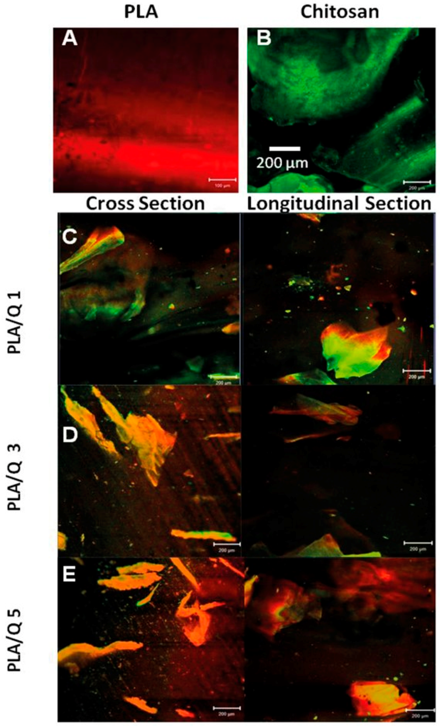 Materials 11 01465 g001