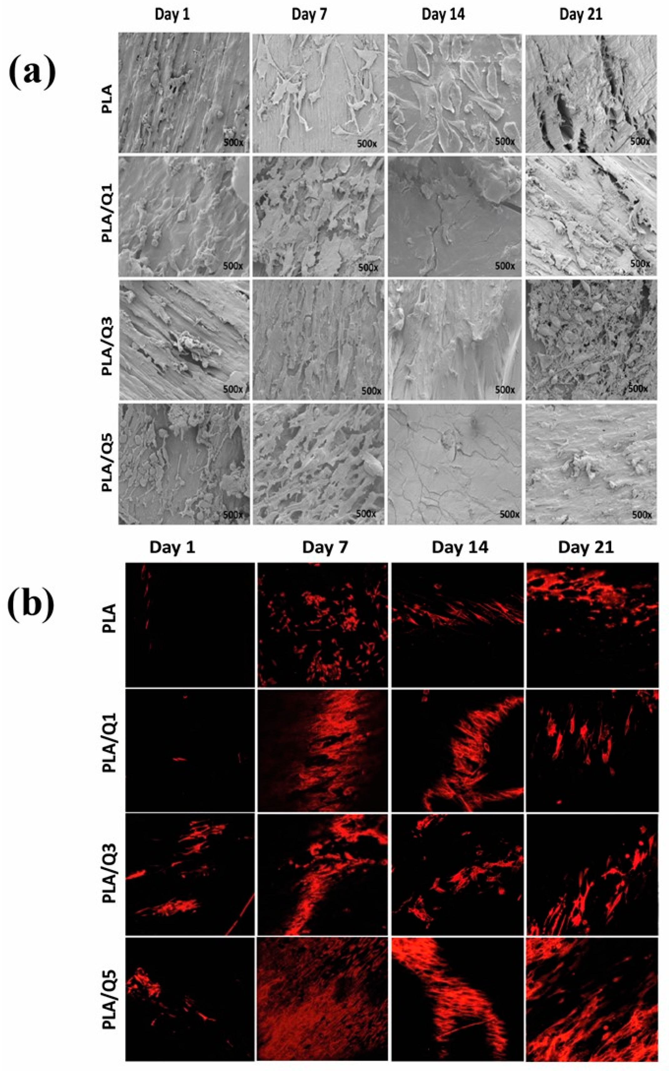 Materials 11 01465 g006