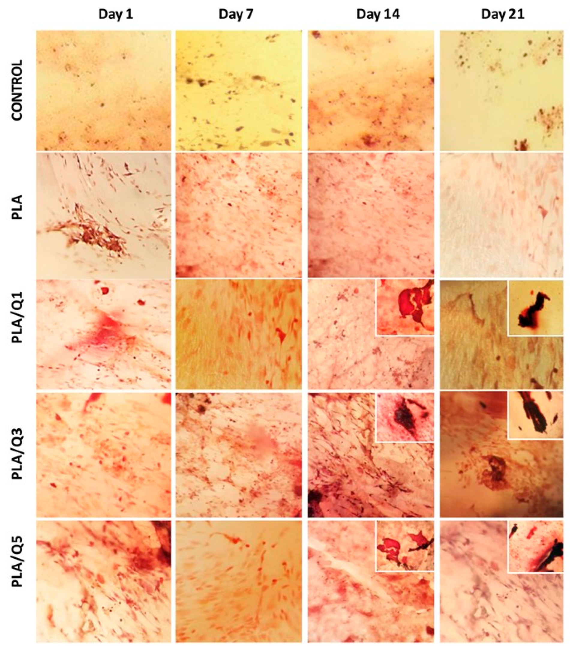 Materials 11 01465 g008