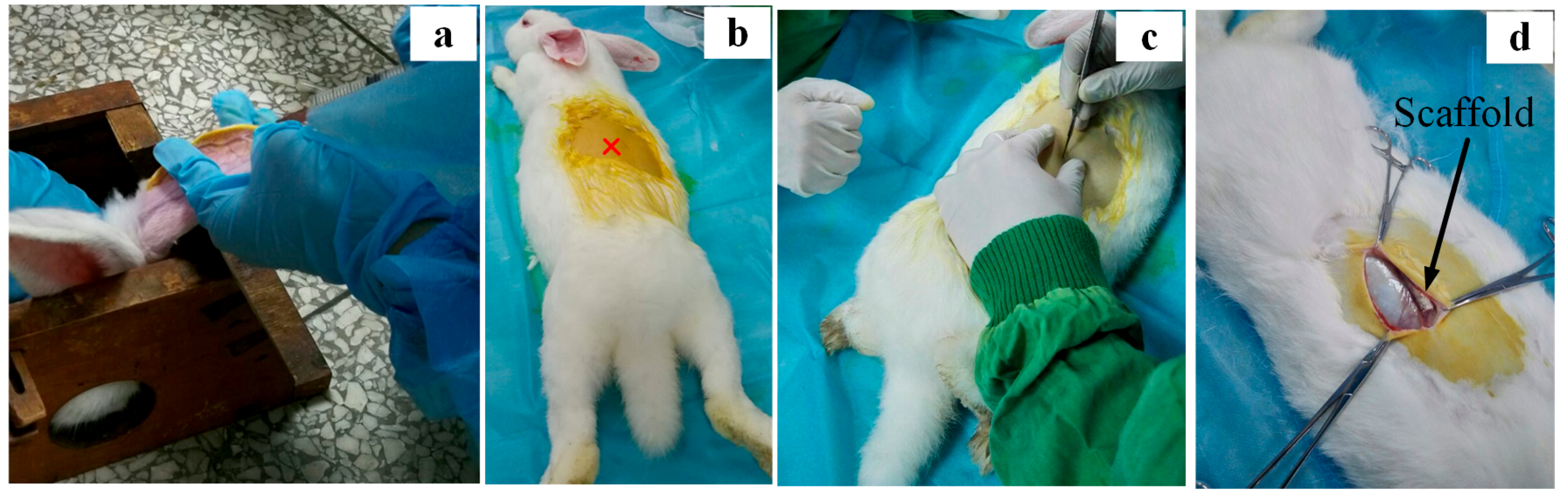 Materials 11 01516 g002