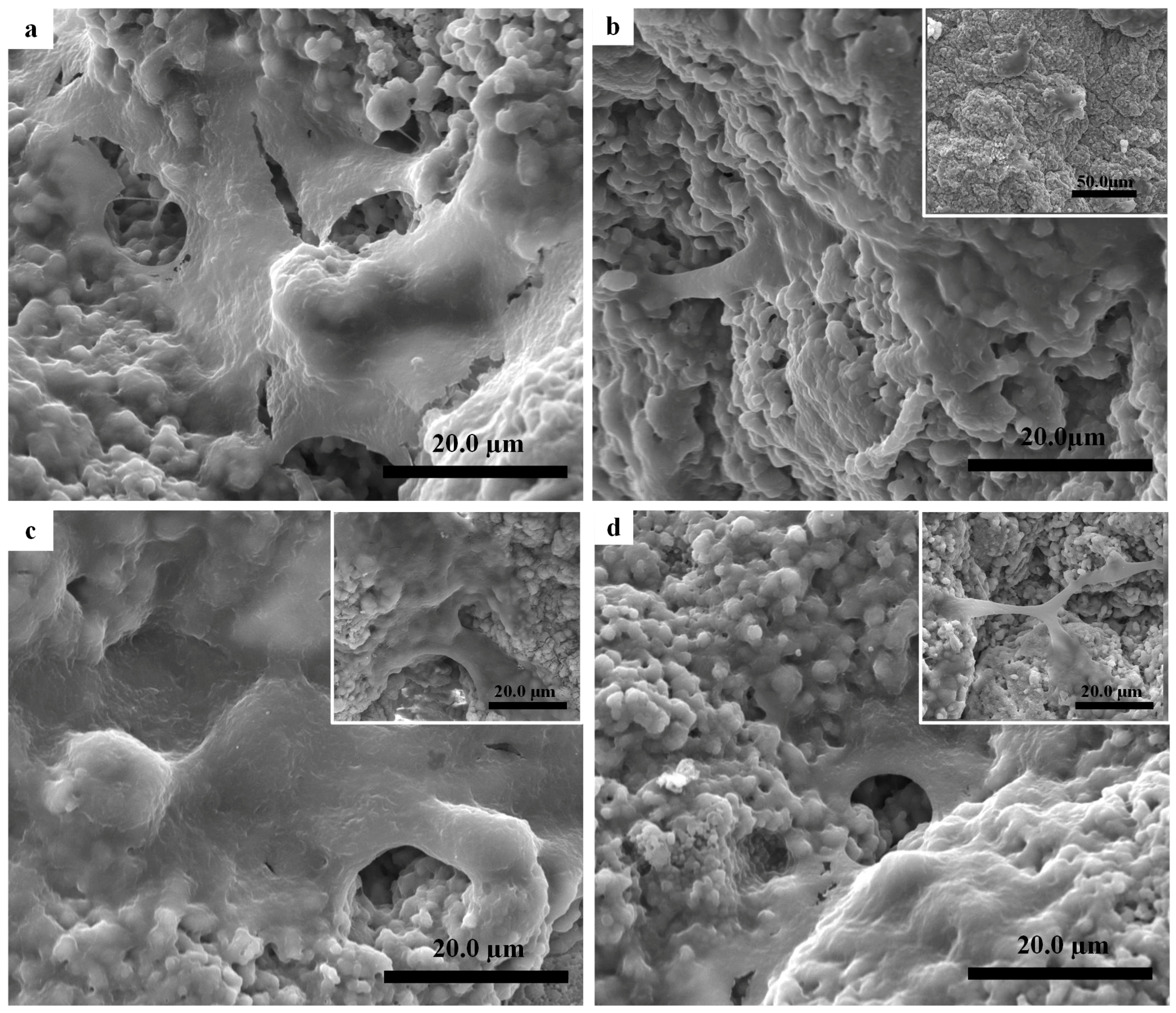 Materials 11 01516 g007