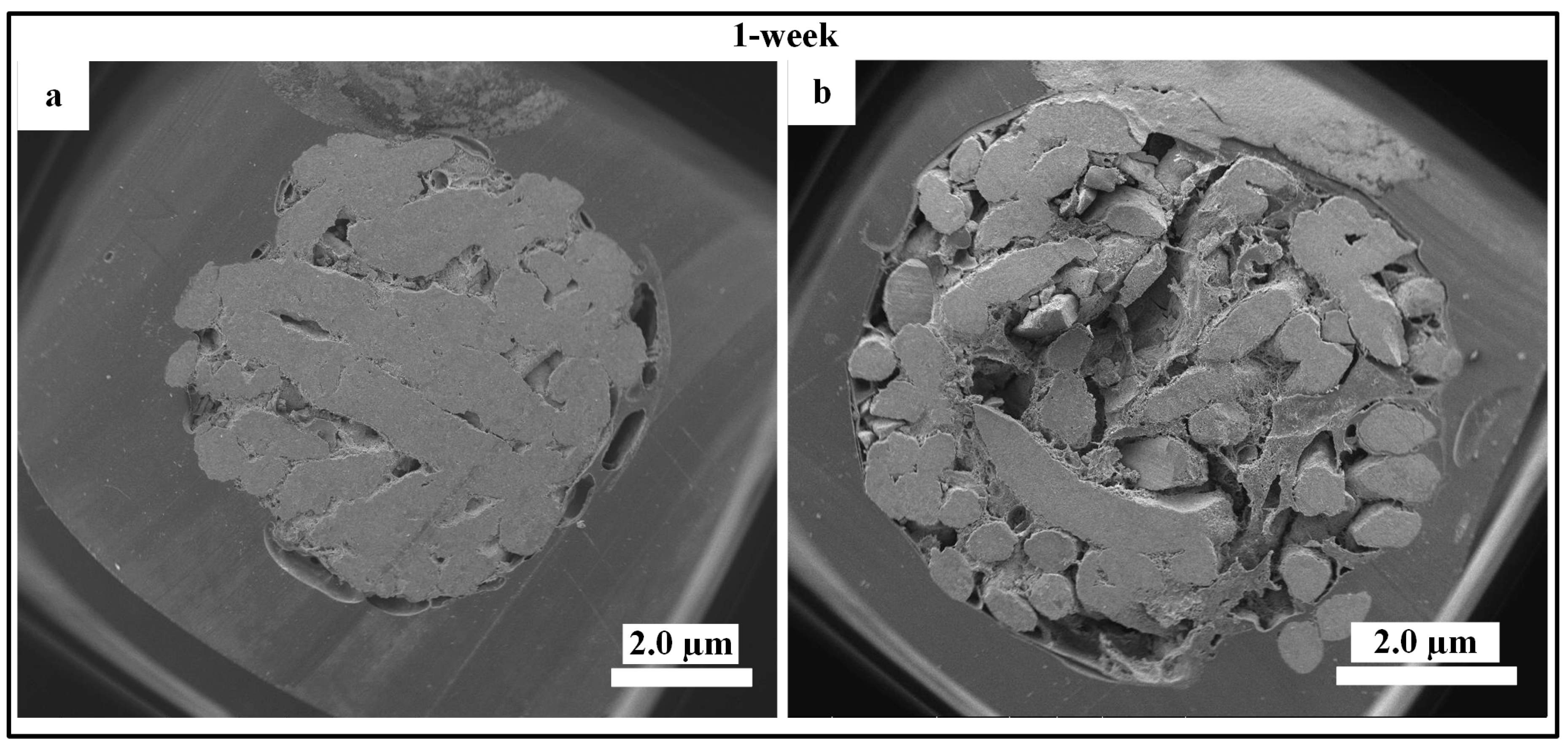 Materials 11 01516 g009