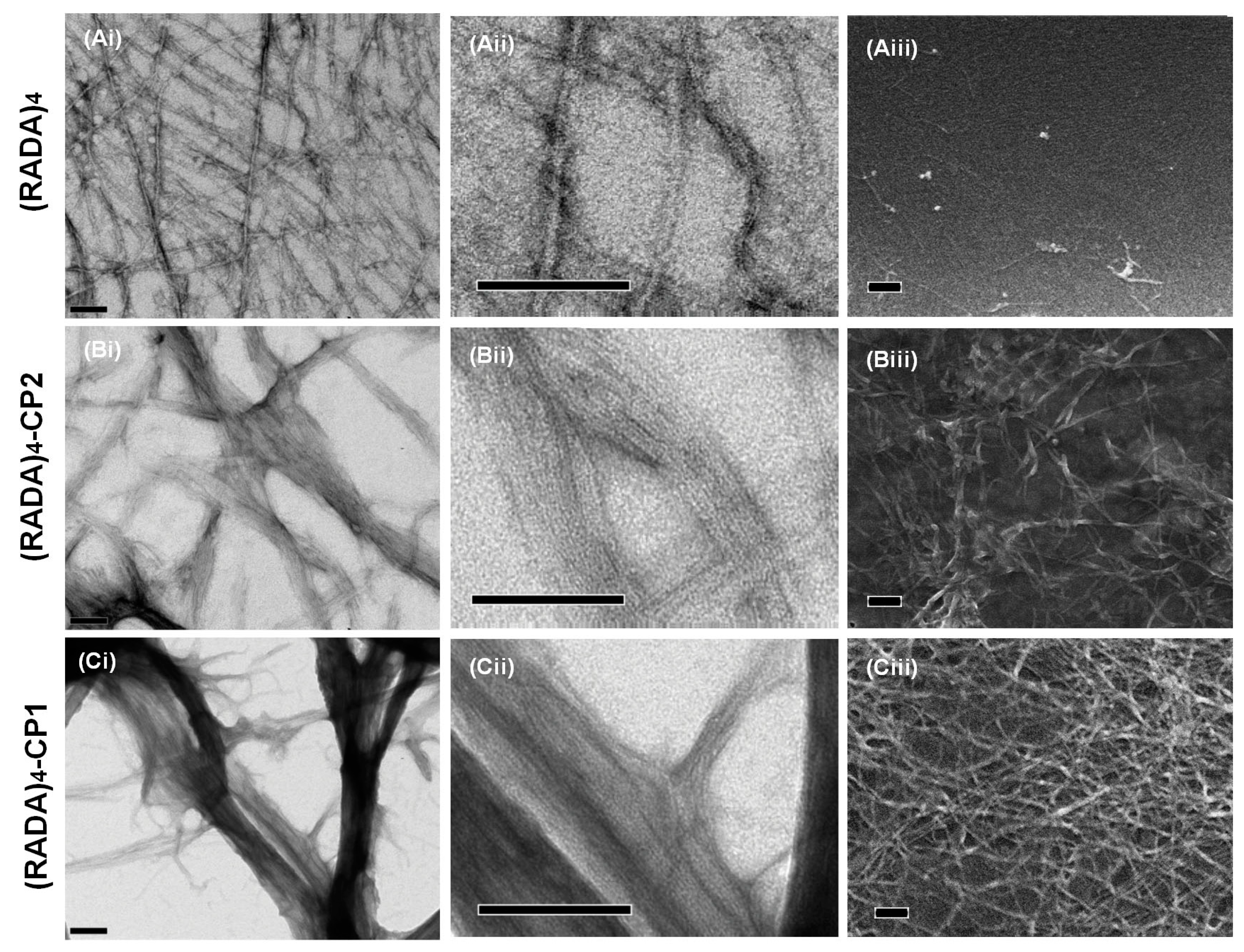 Materials 11 01539 g002