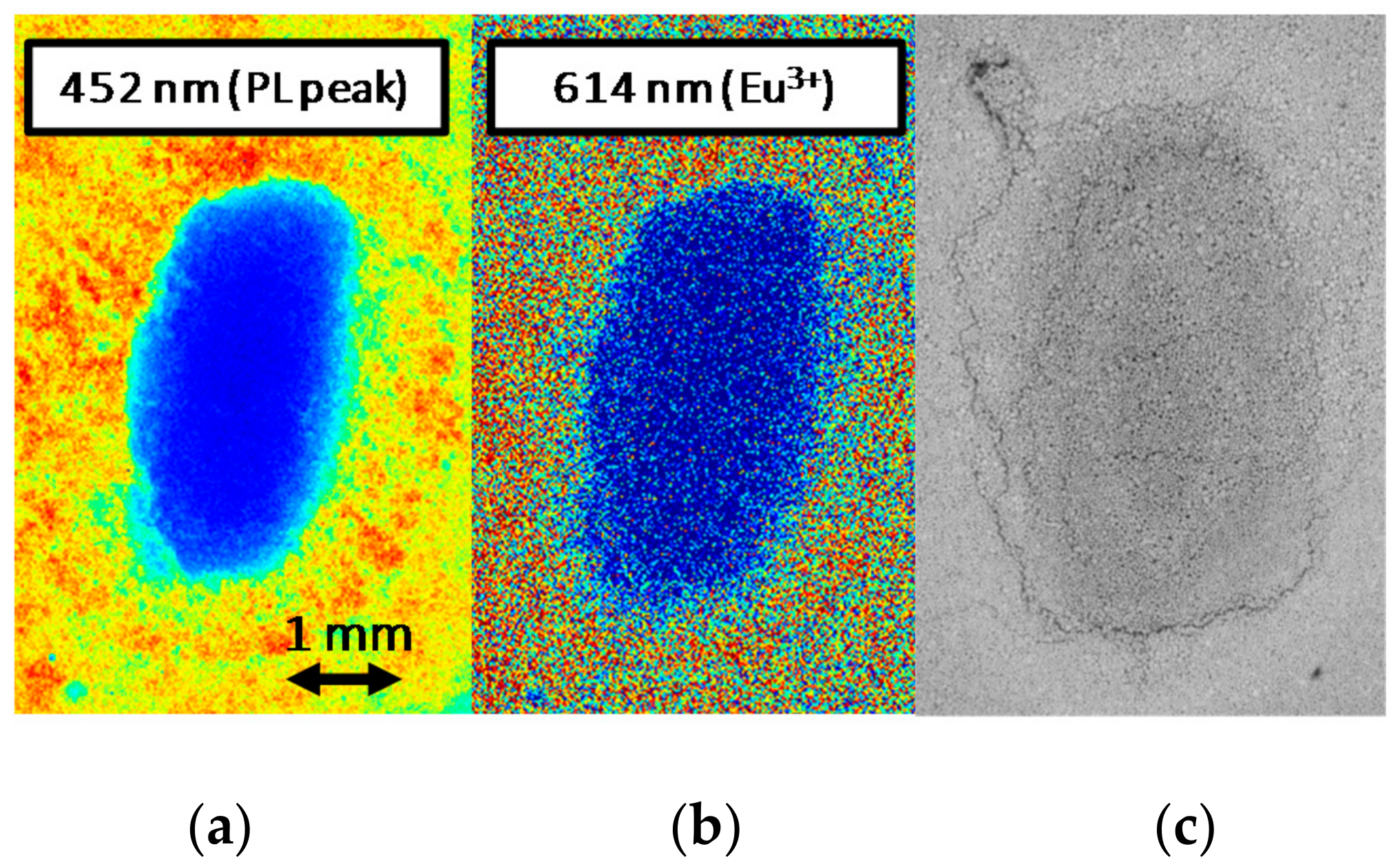 Materials 11 01552 g006