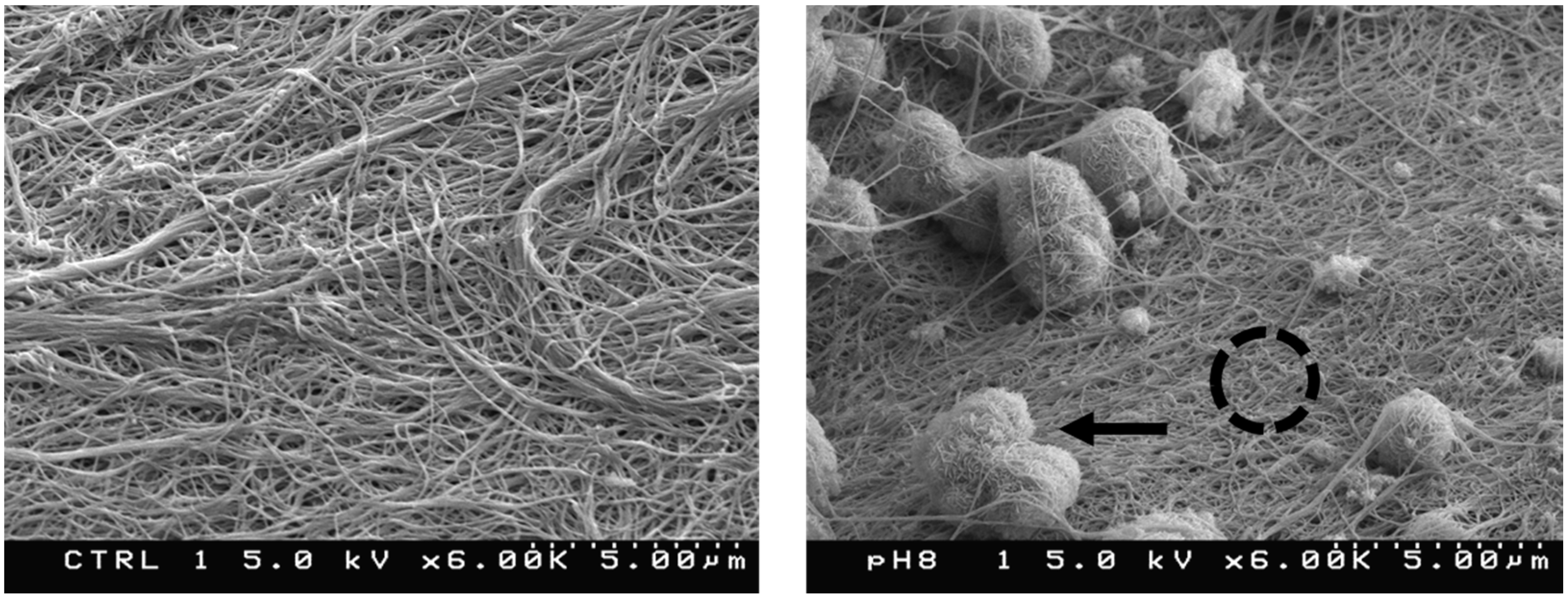 Materials 11 01556 g003