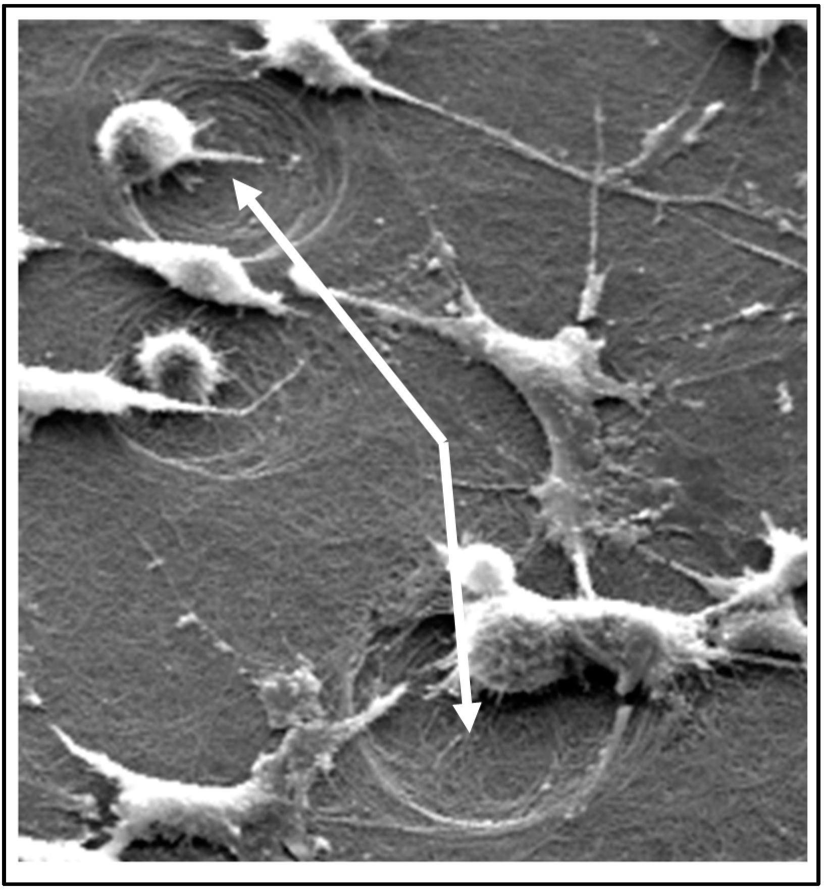 Materials 11 01556 g006