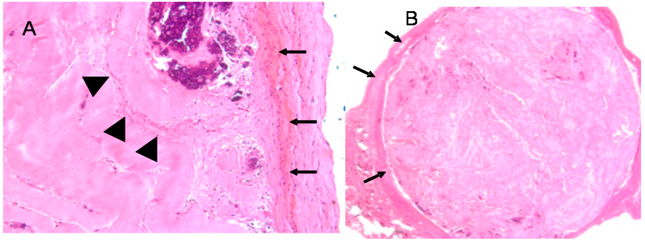 Materials 11 01556 g007