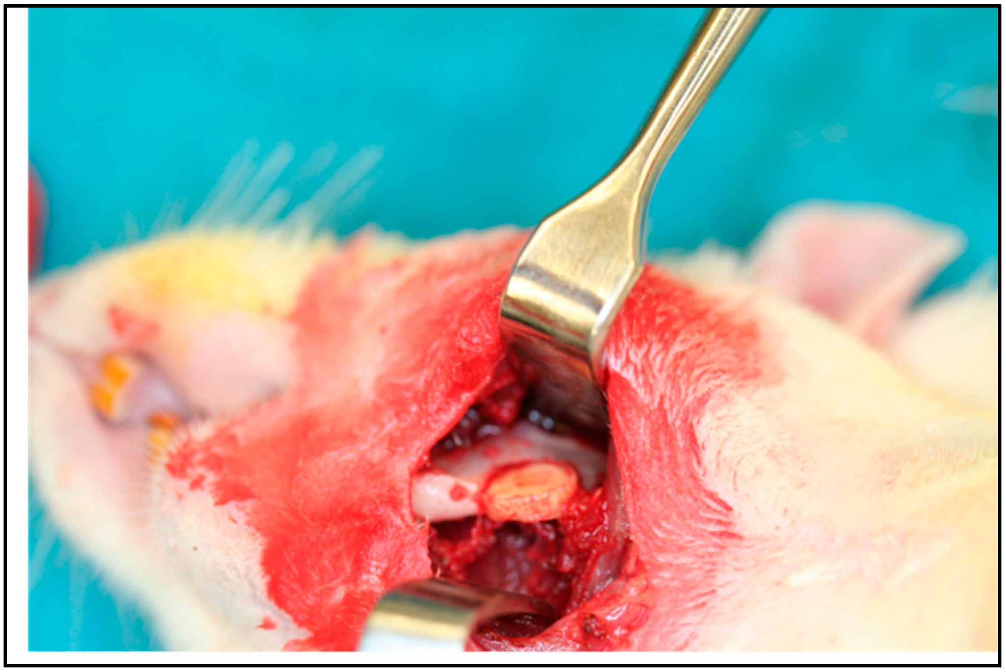 Materials 11 01556 g008