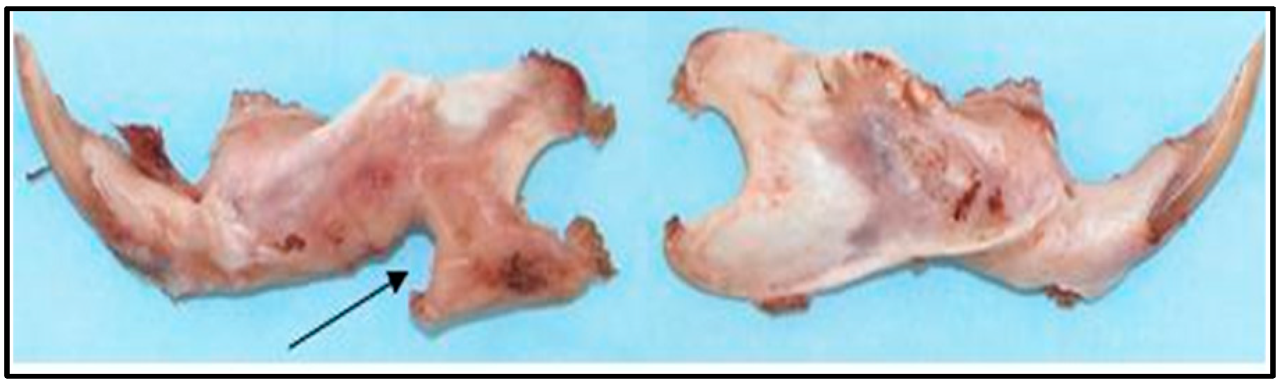 Materials 11 01556 g009