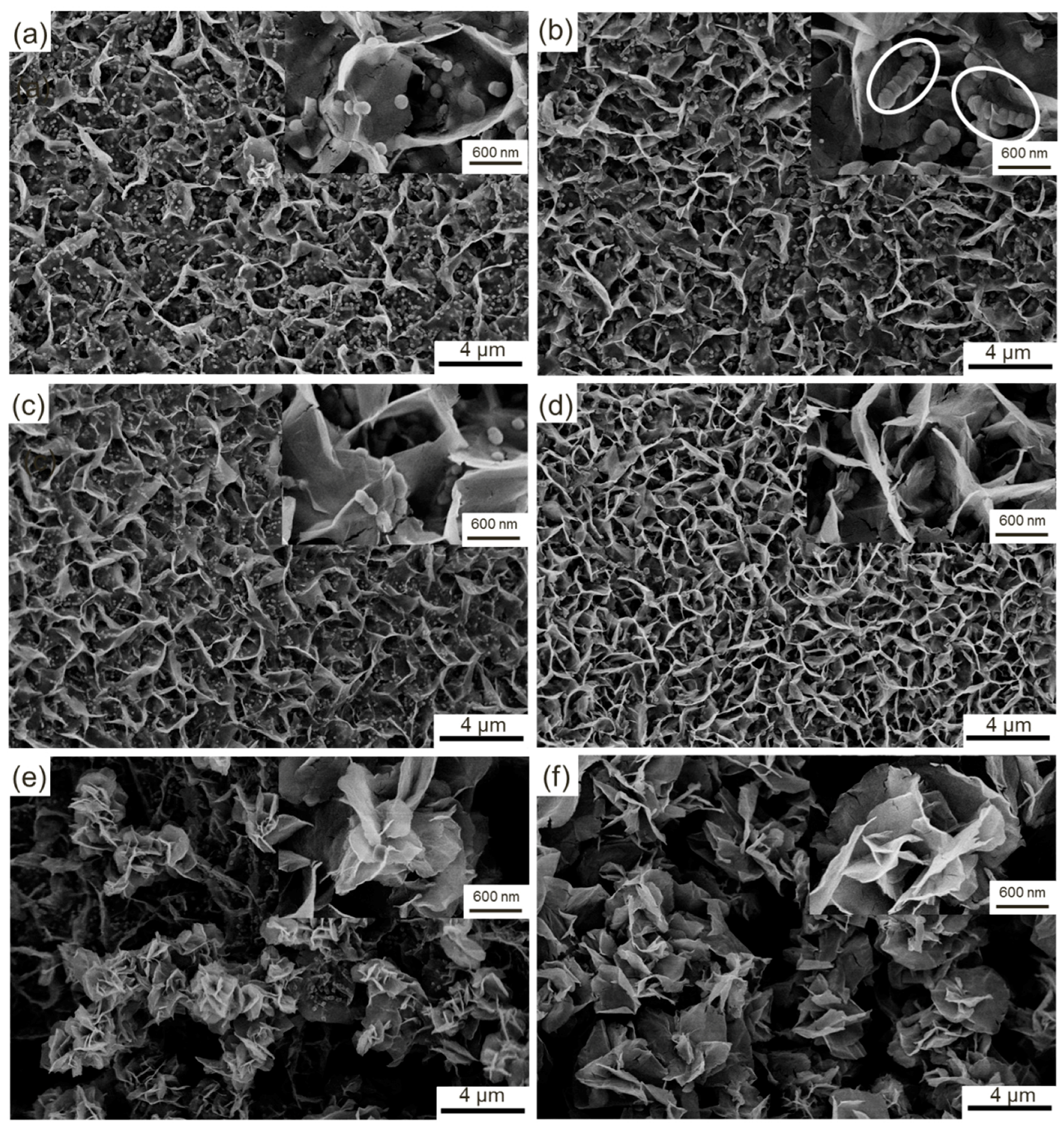 Materials 11 01560 g010