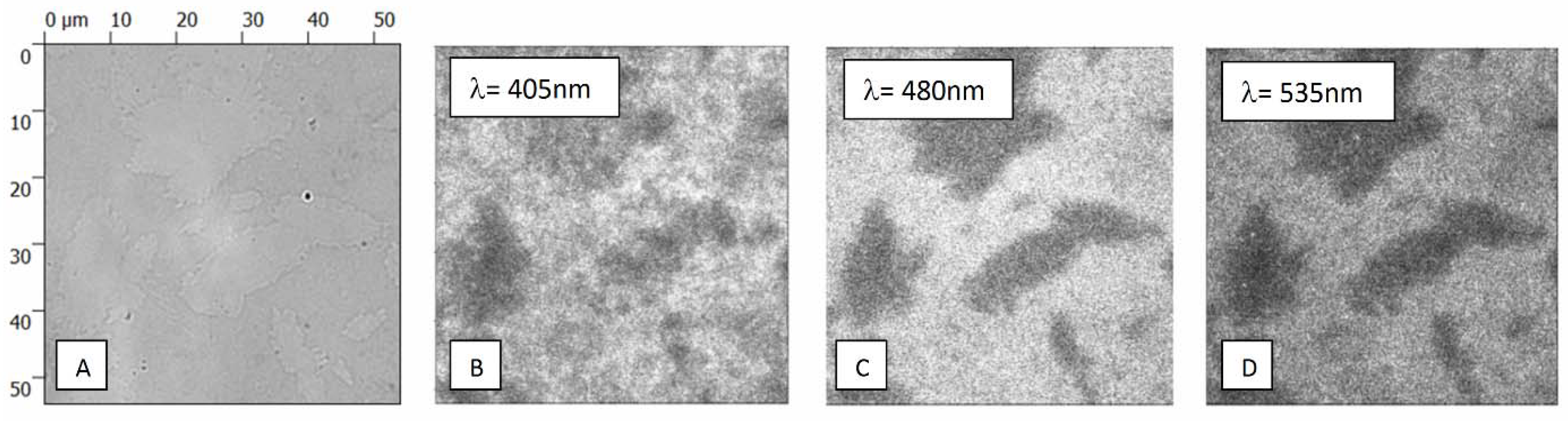 Materials 11 01567 g006