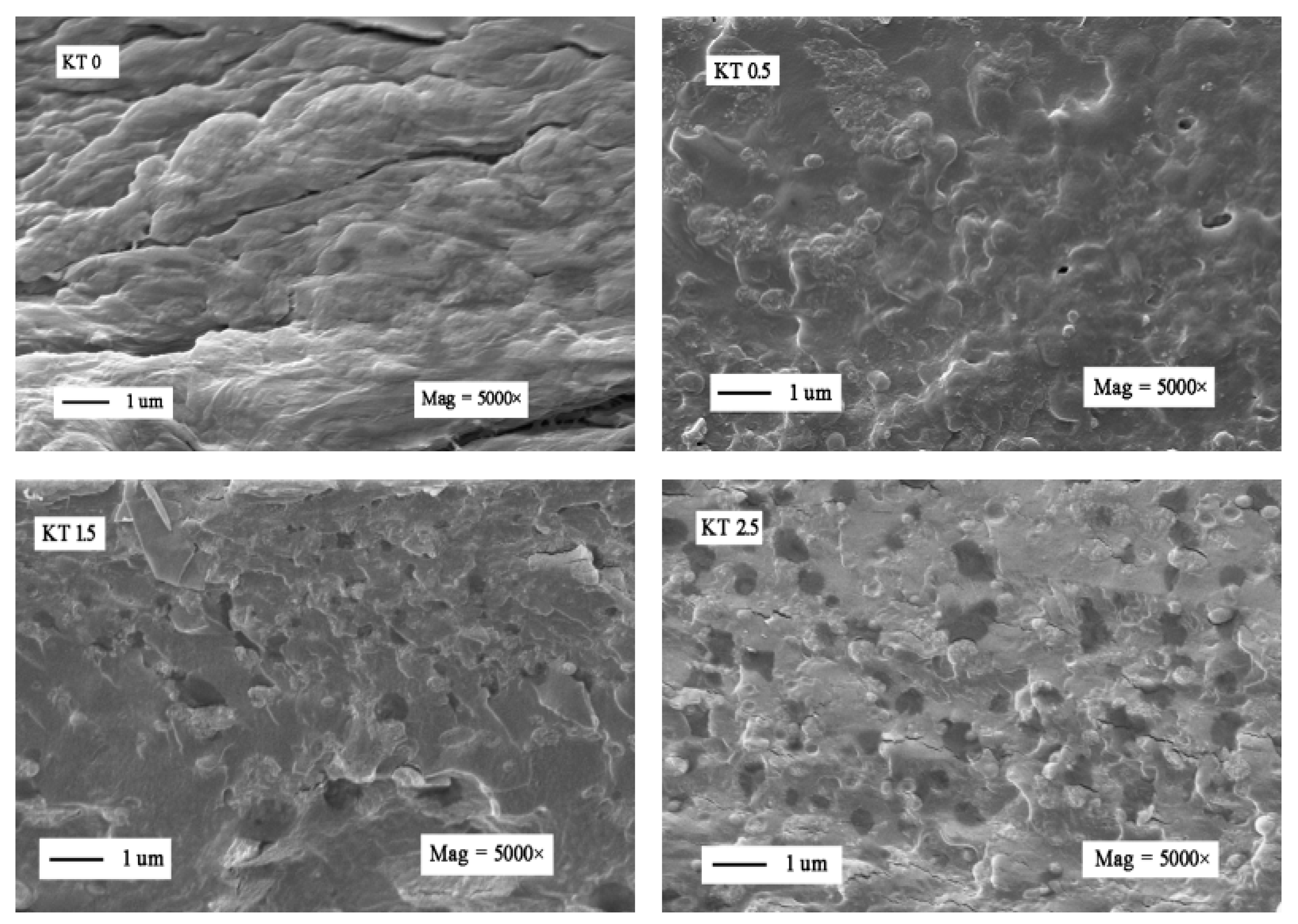 Materials 11 01589 g010