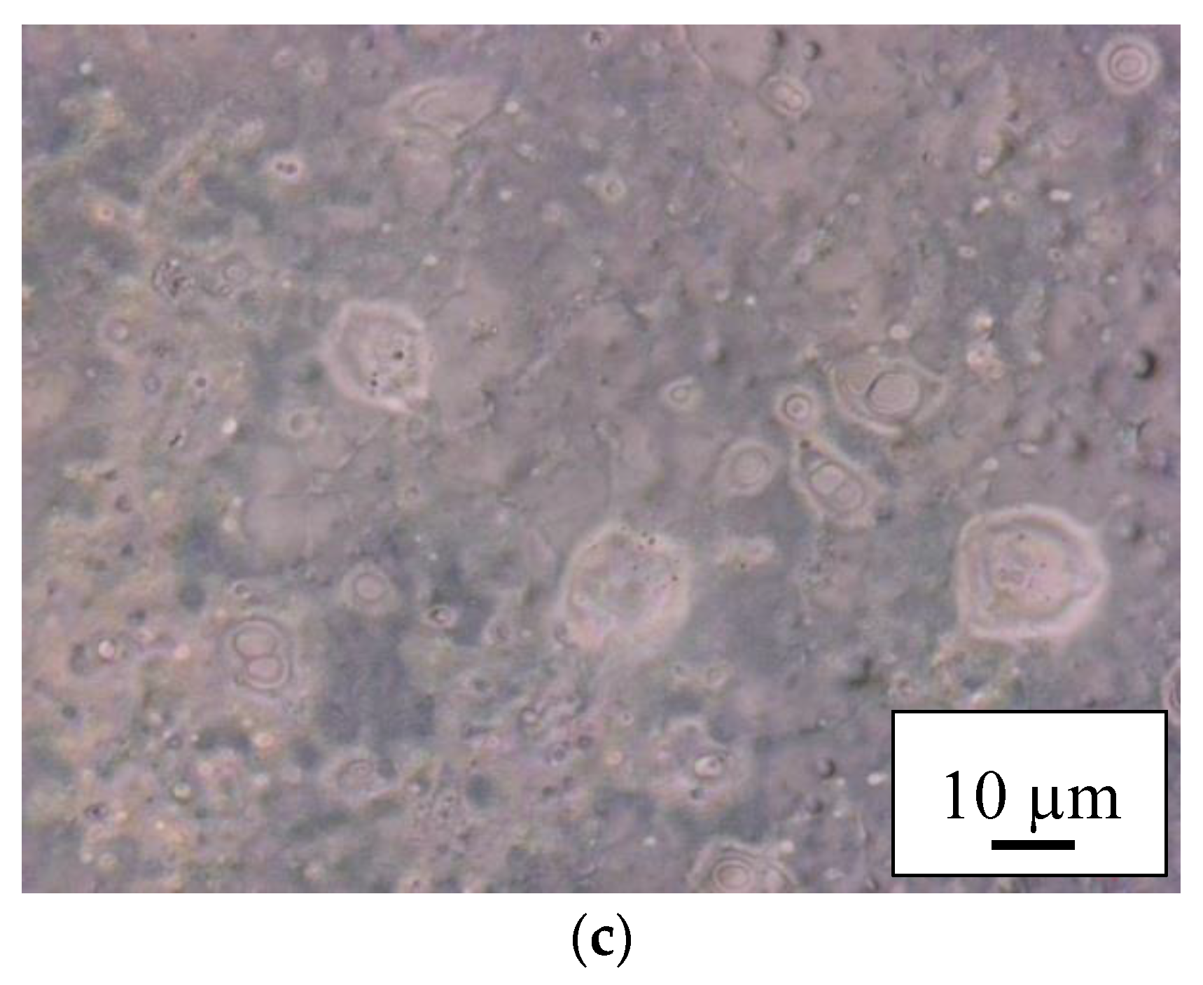 Materials 11 01604 g003b Materials 11 01604 g003b