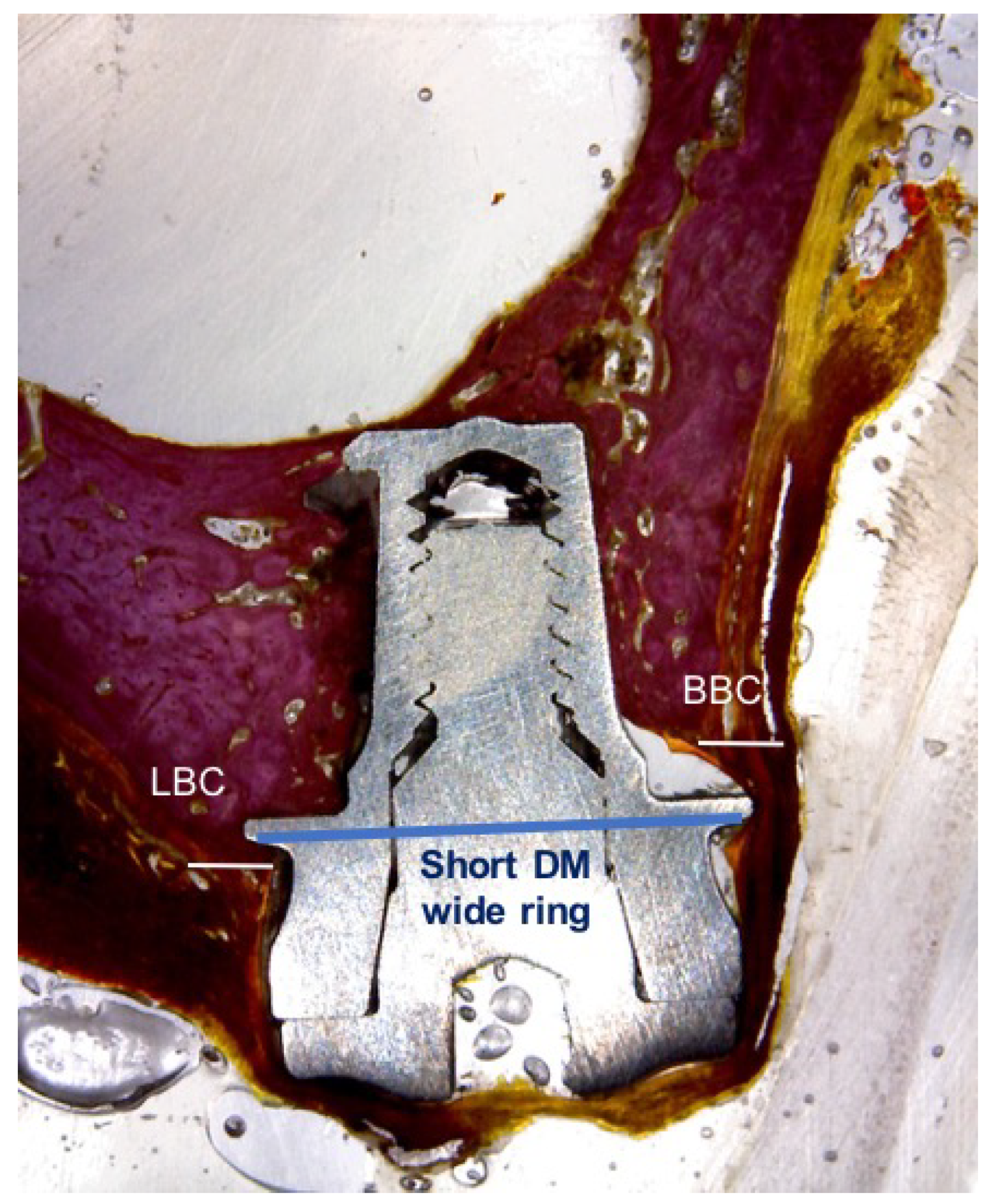 Materials 11 01630 g007 Materials 11 01630 g007