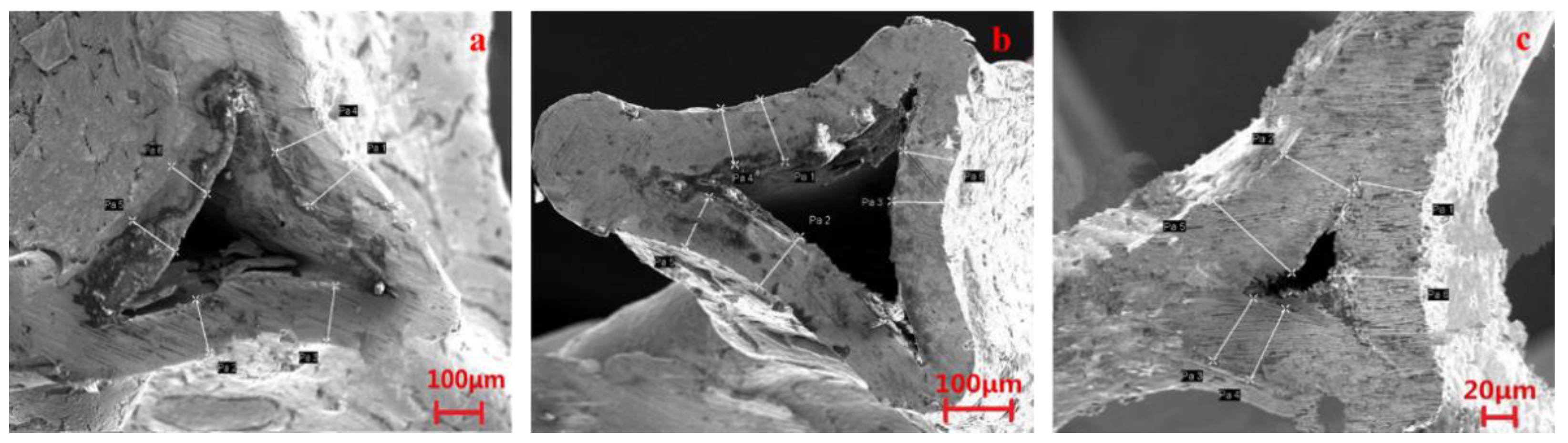 Materials 11 01639 g006