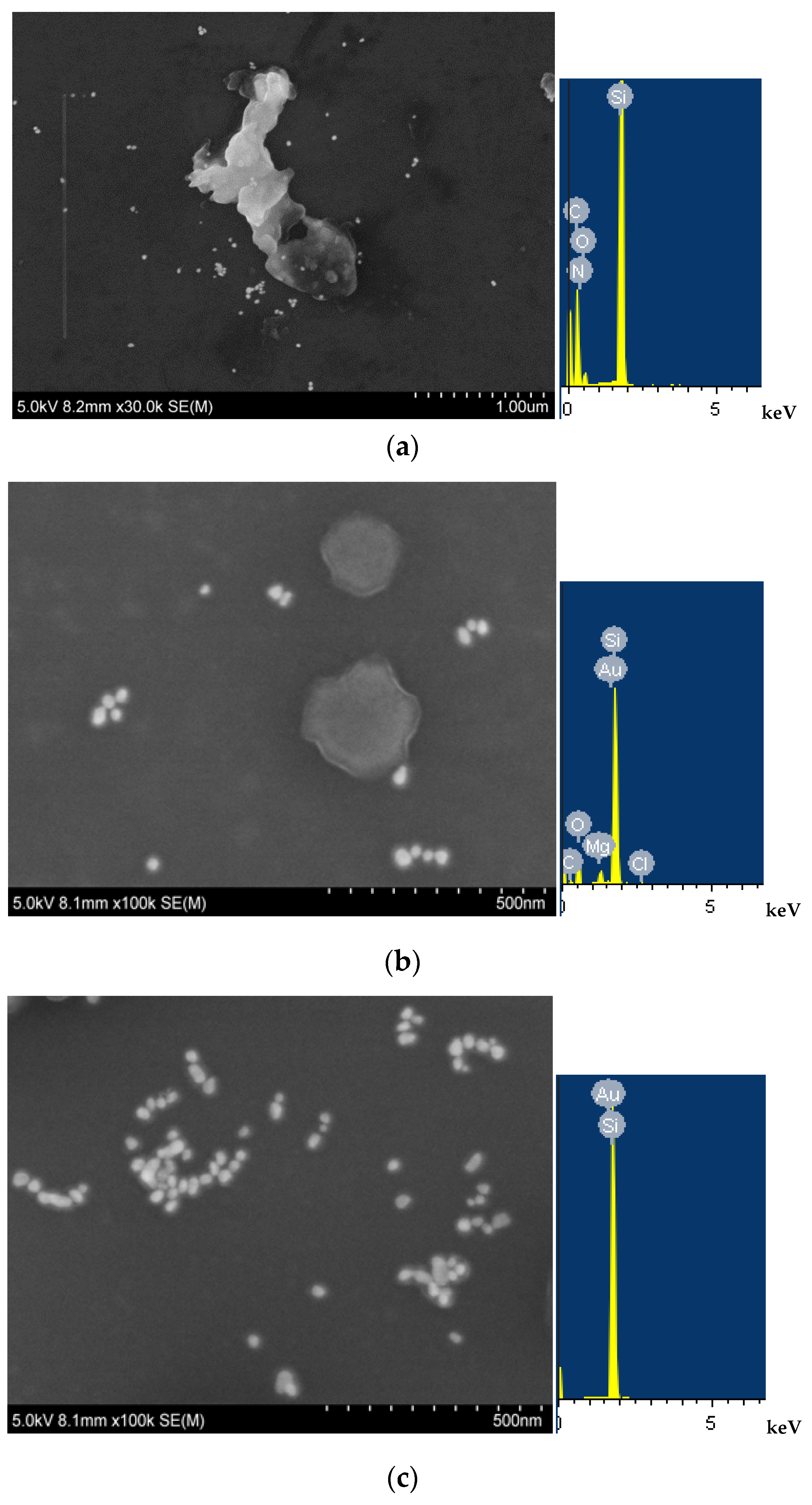 Materials 11 01655 g003