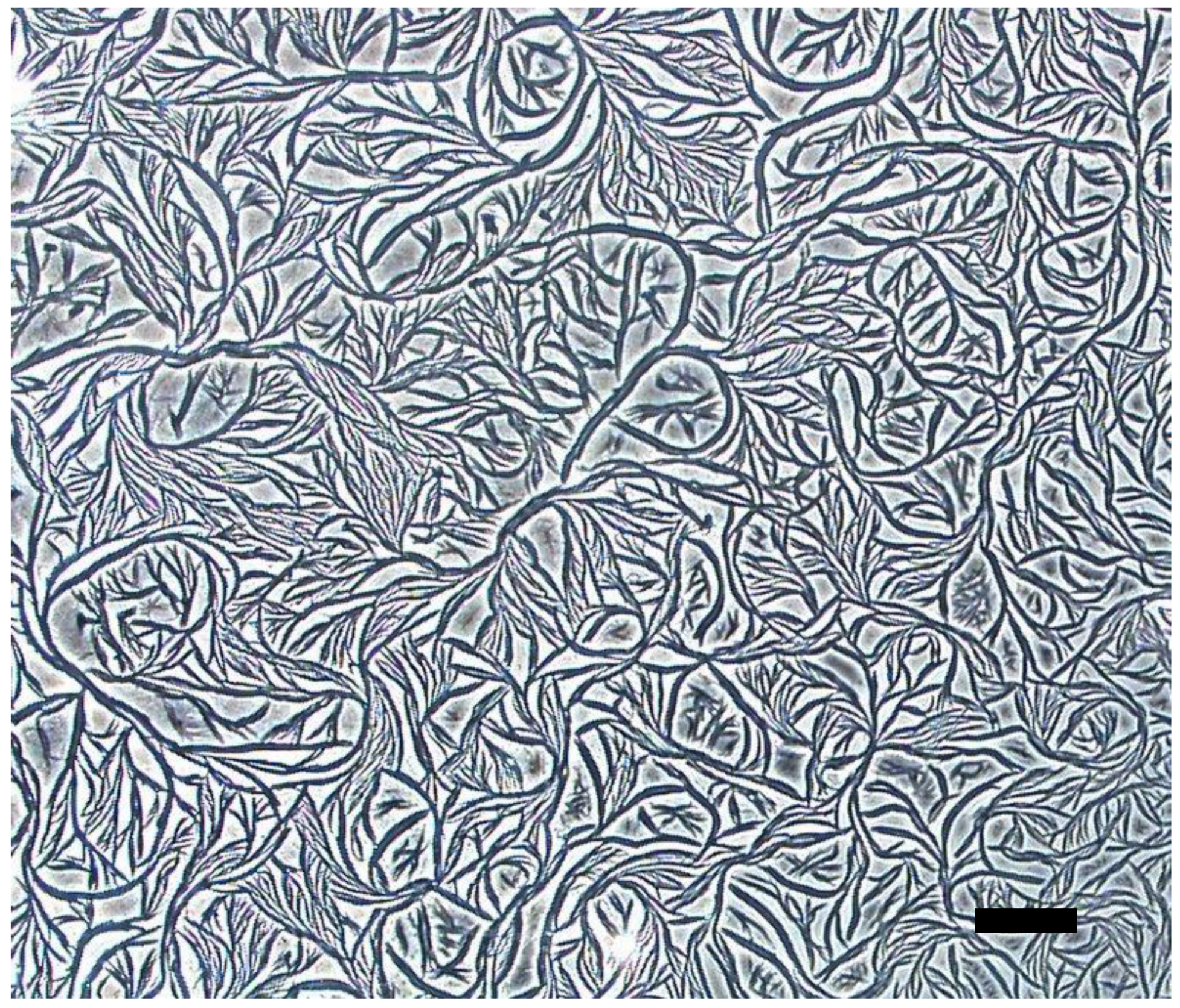 Materials 11 01666 g008