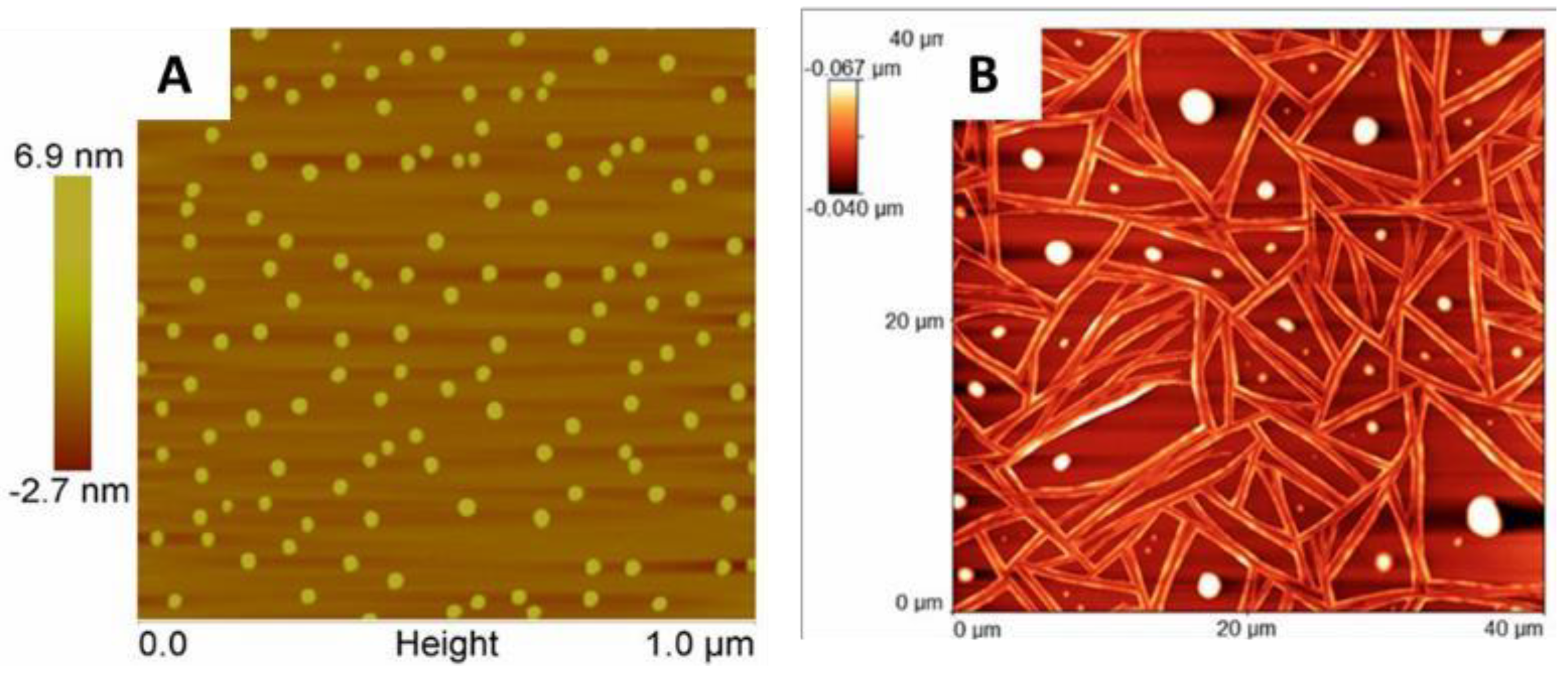 Materials 11 01666 g009