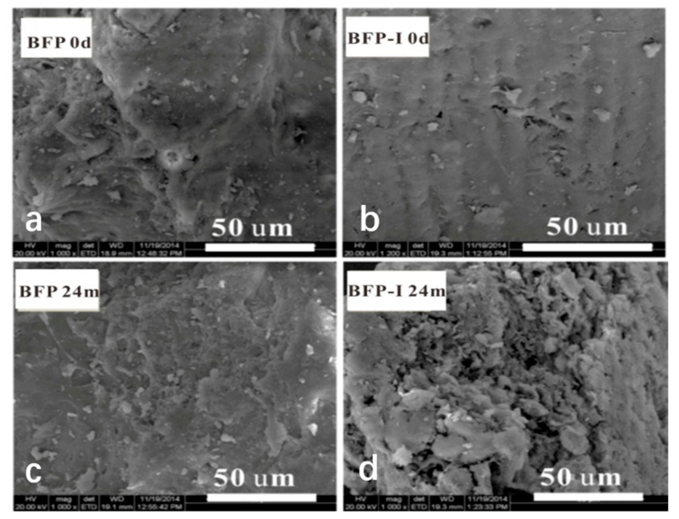 Materials 11 01695 g004 Materials 11 01695 g004