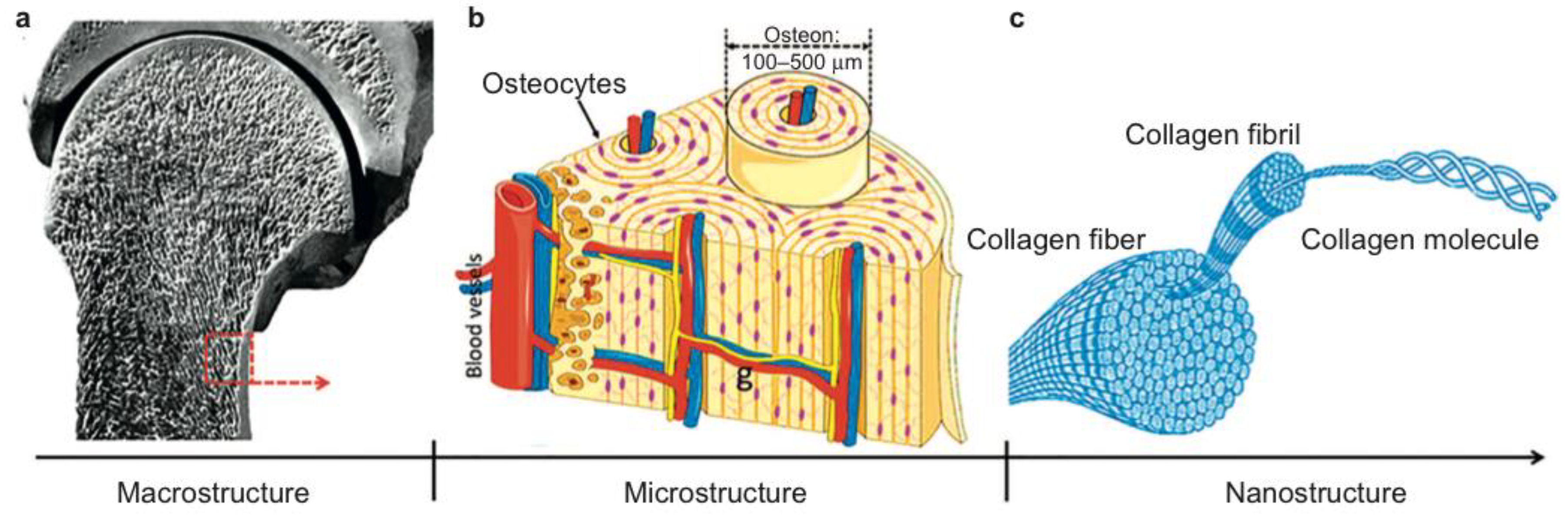 Materials 11 01702 g001