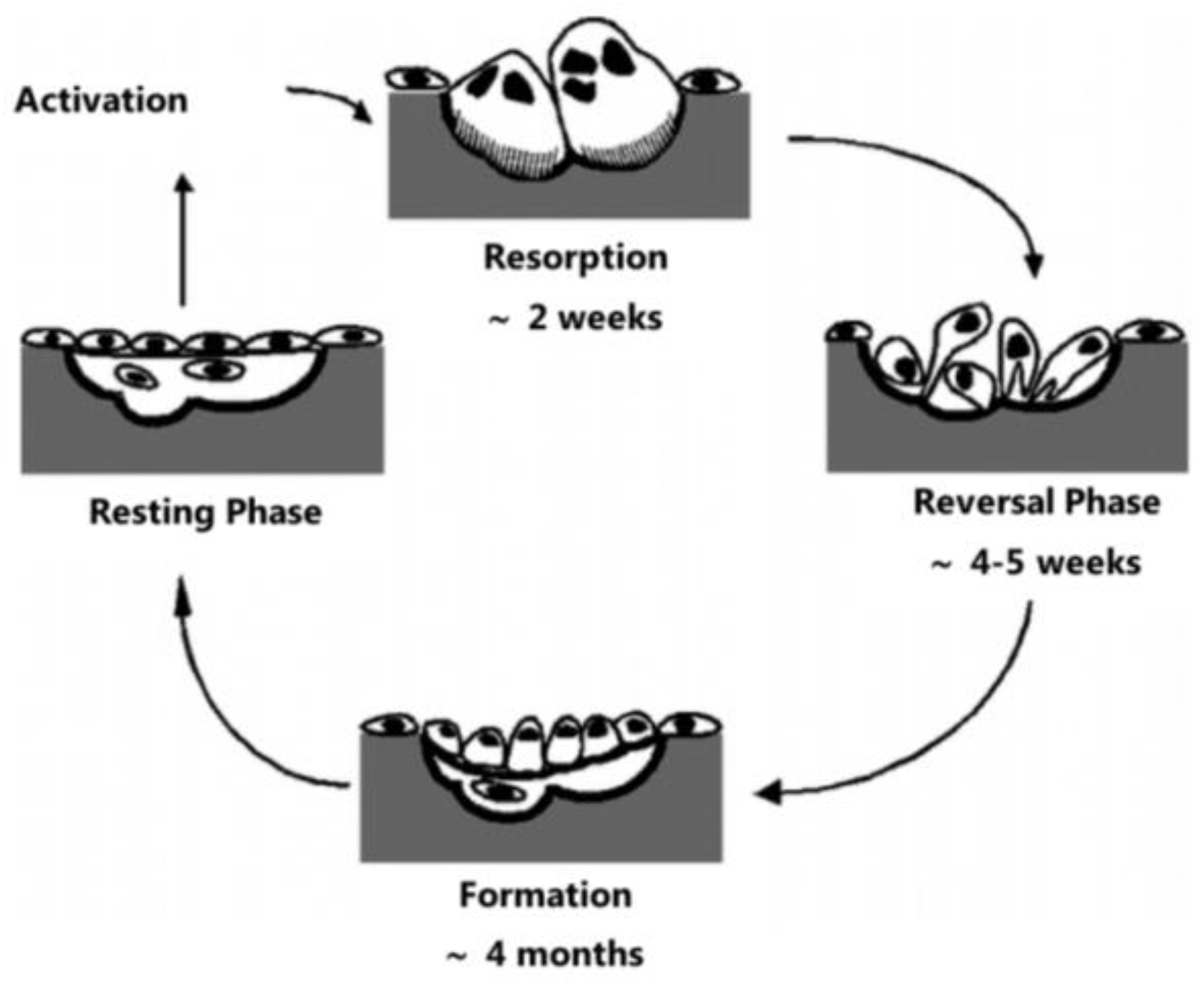 Materials 11 01702 g003