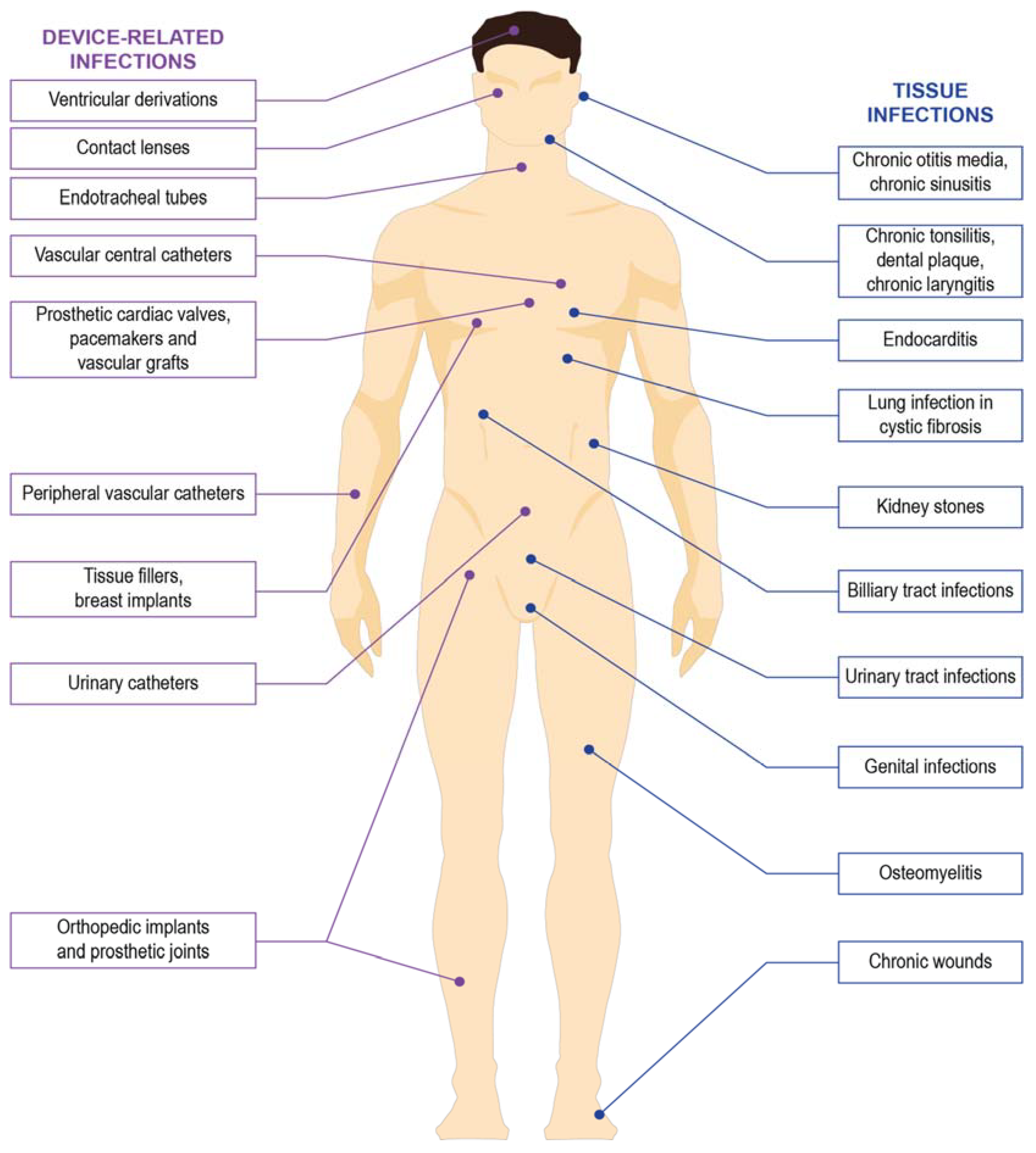 Materials 11 01705 g001