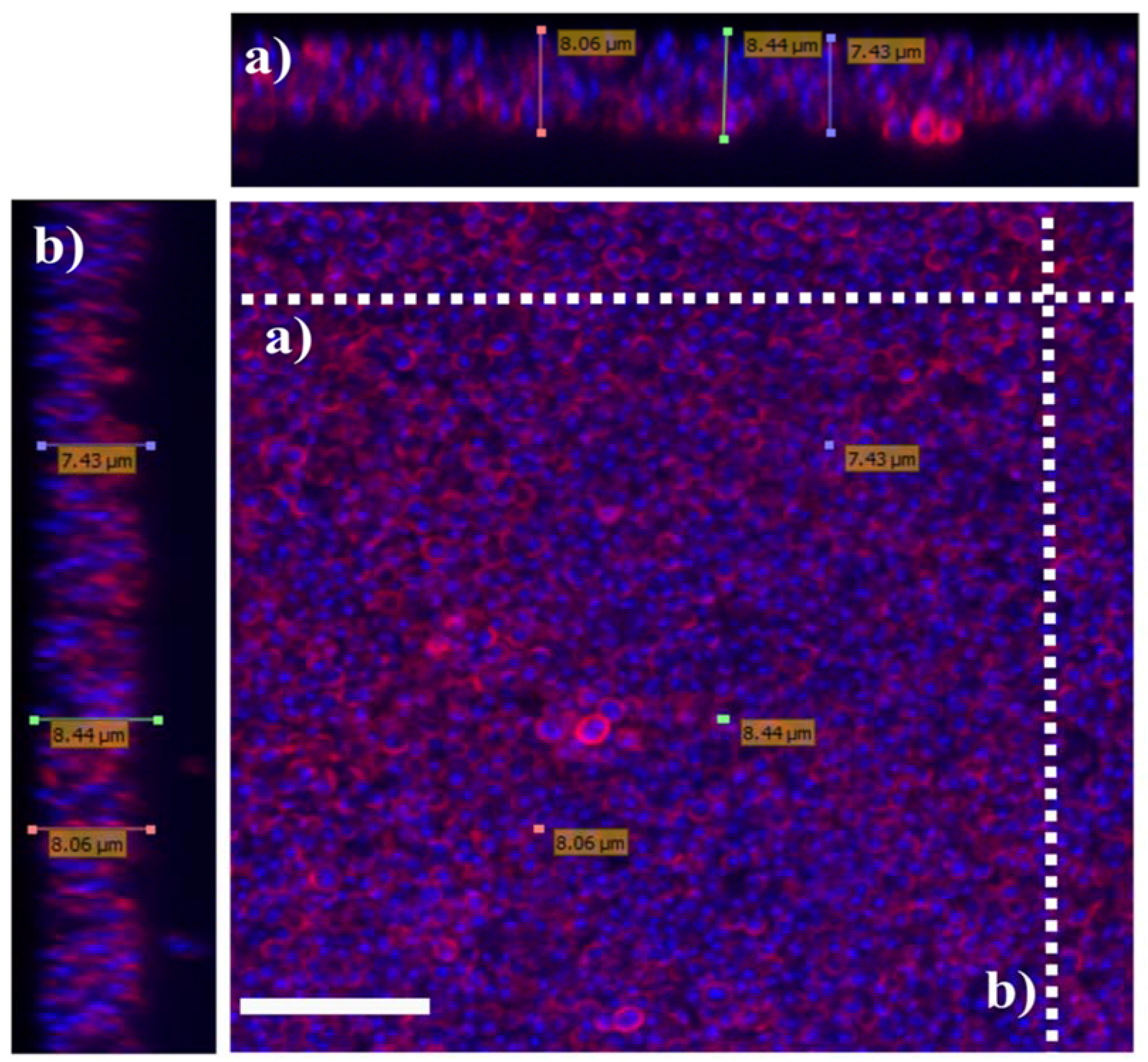 Materials 11 01705 g002
