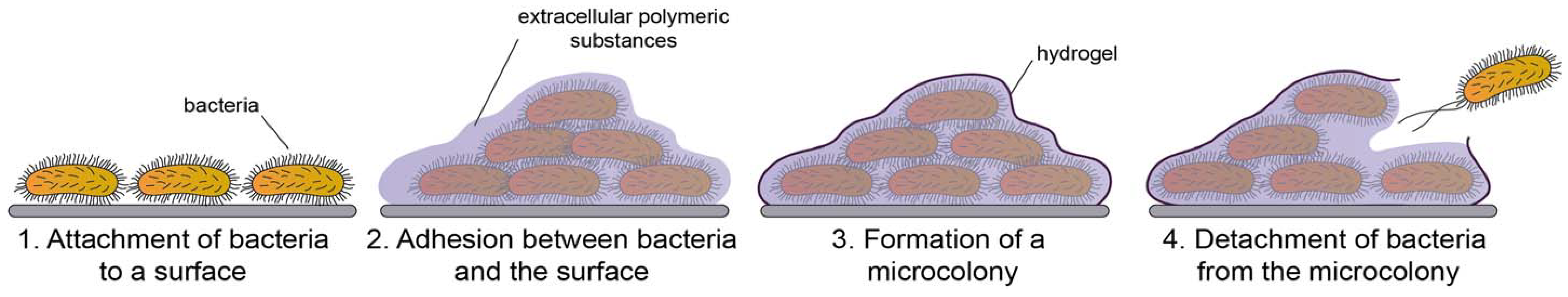 Materials 11 01705 g003
