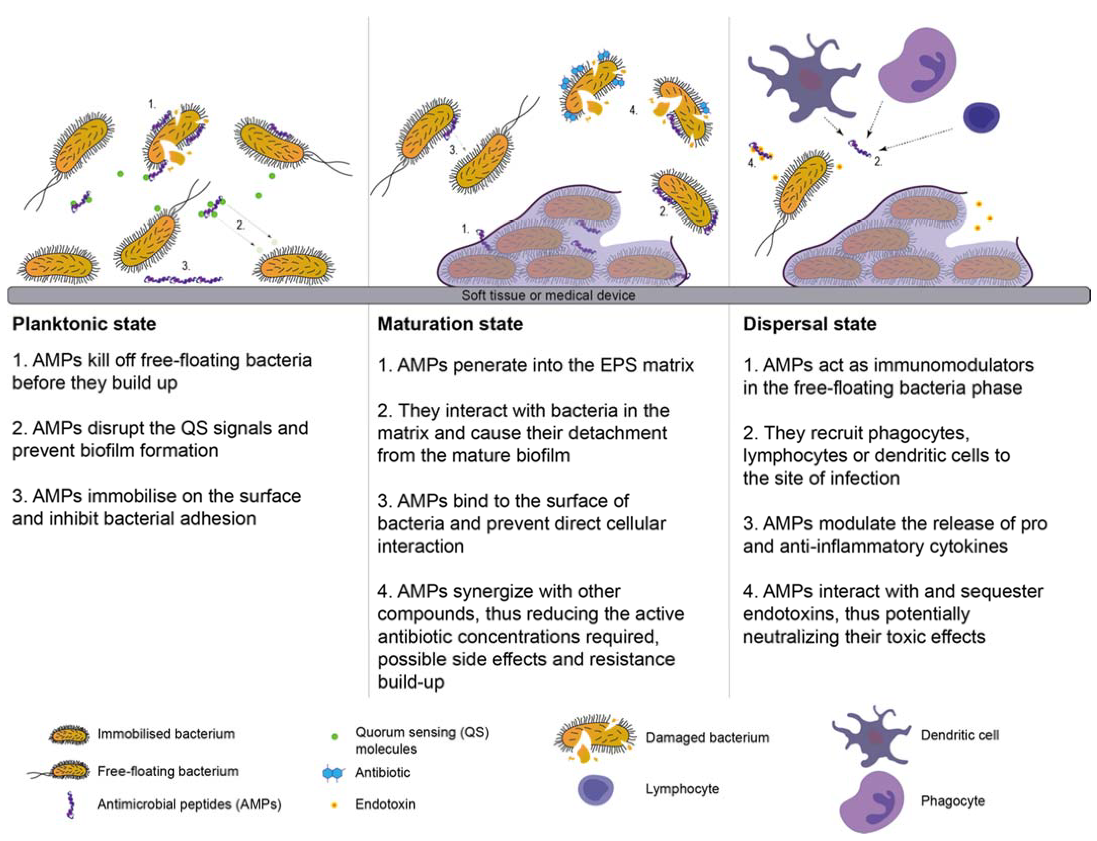 Materials 11 01705 g004