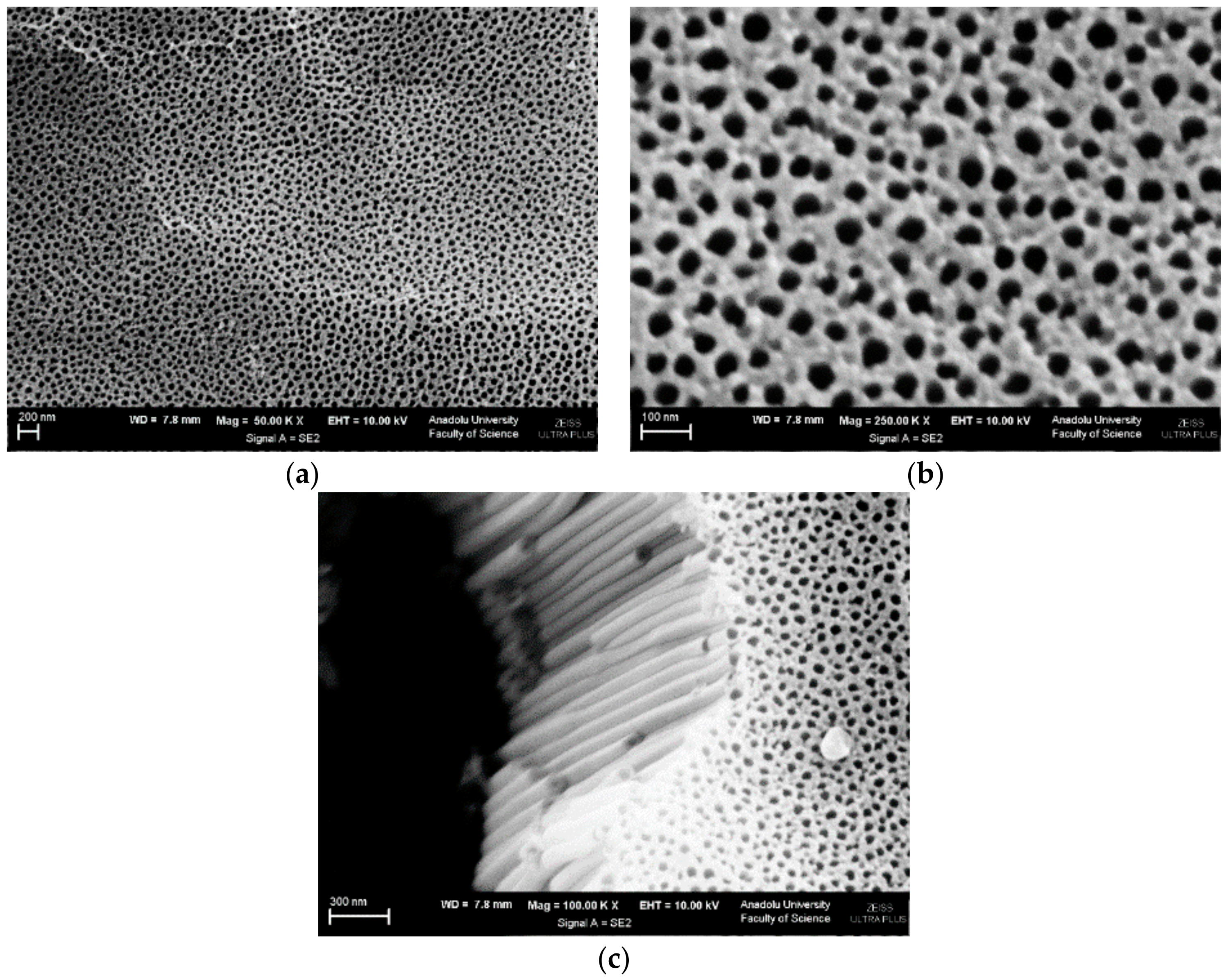 Materials 11 01715 g006 Materials 11 01715 g006