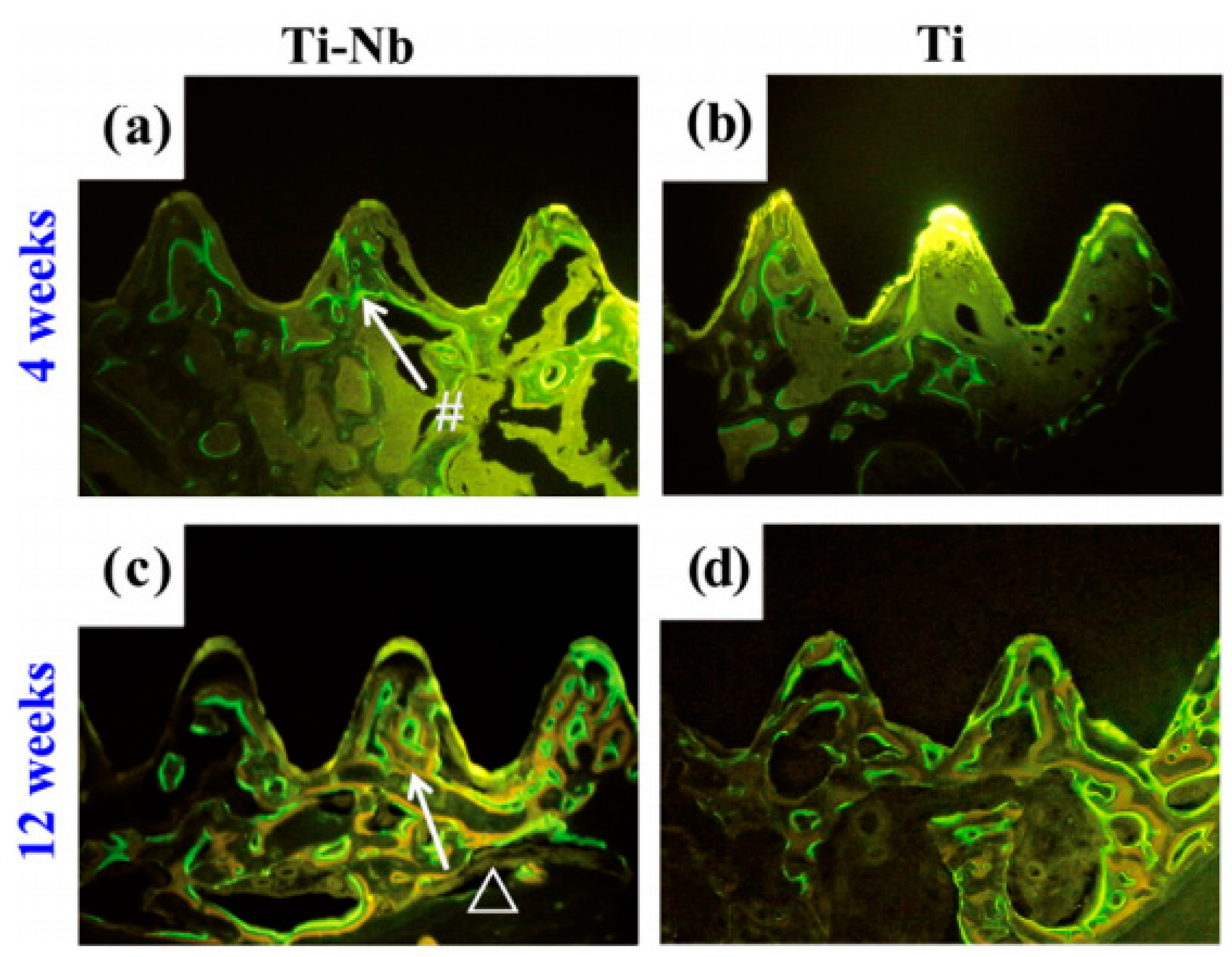 Materials 11 01716 g033 Materials 11 01716 g033