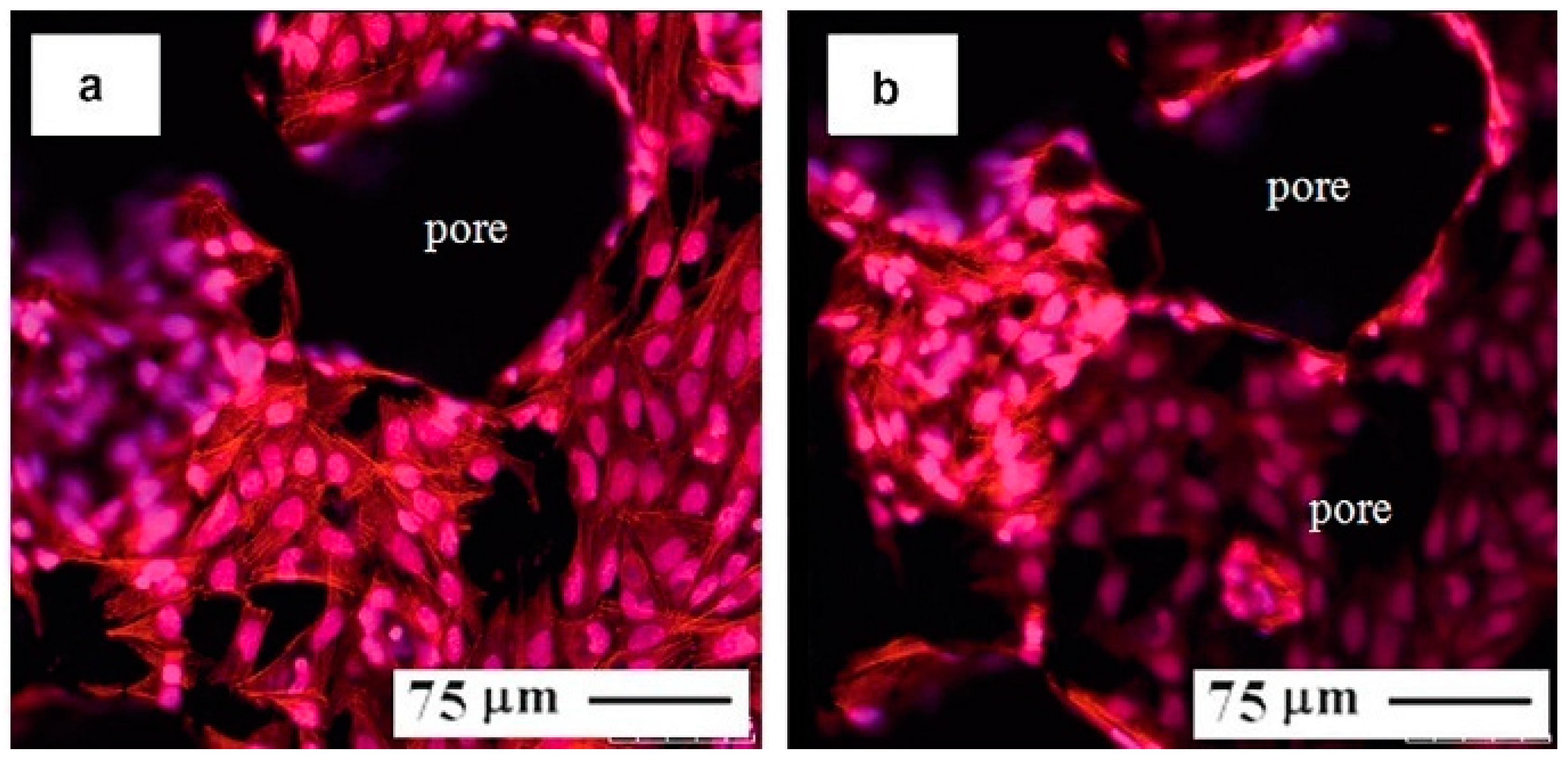 Materials 11 01716 g042 Materials 11 01716 g042