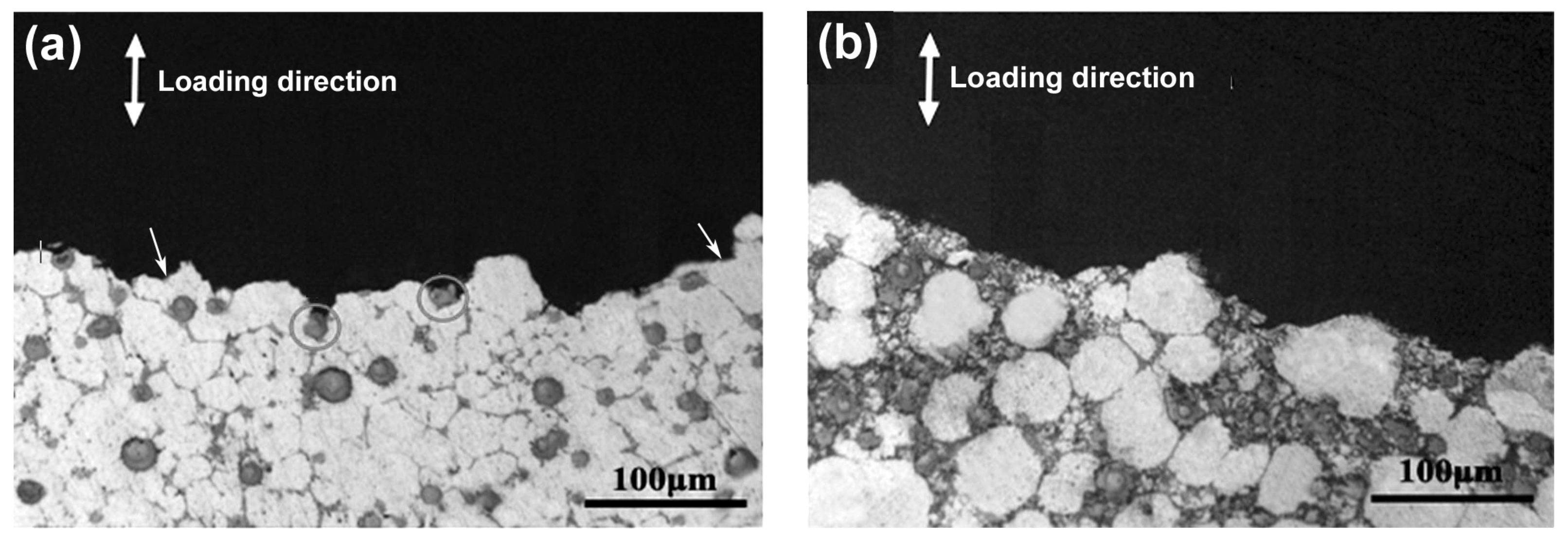 Materials 11 01718 g010