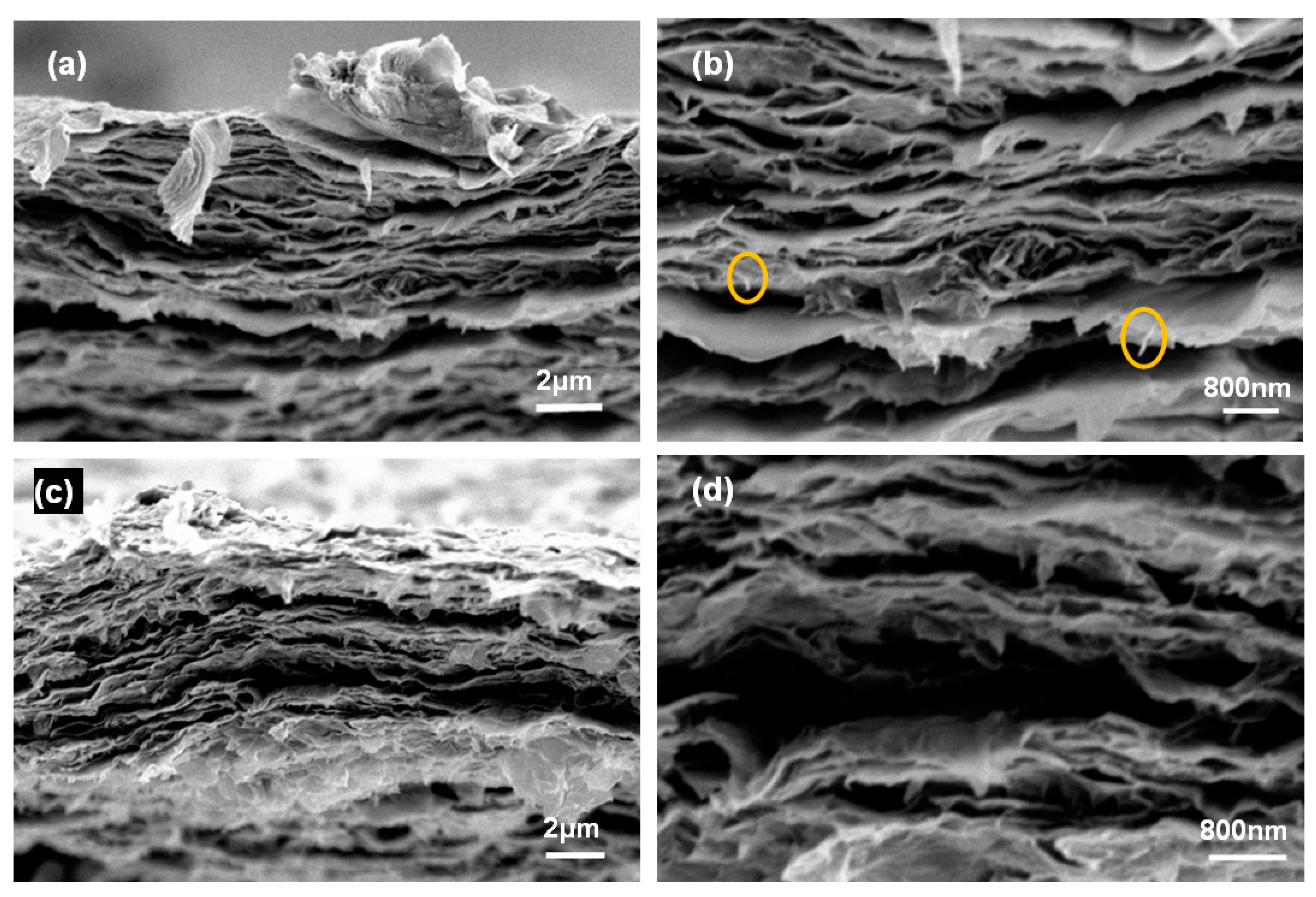 Materials 11 01727 g006