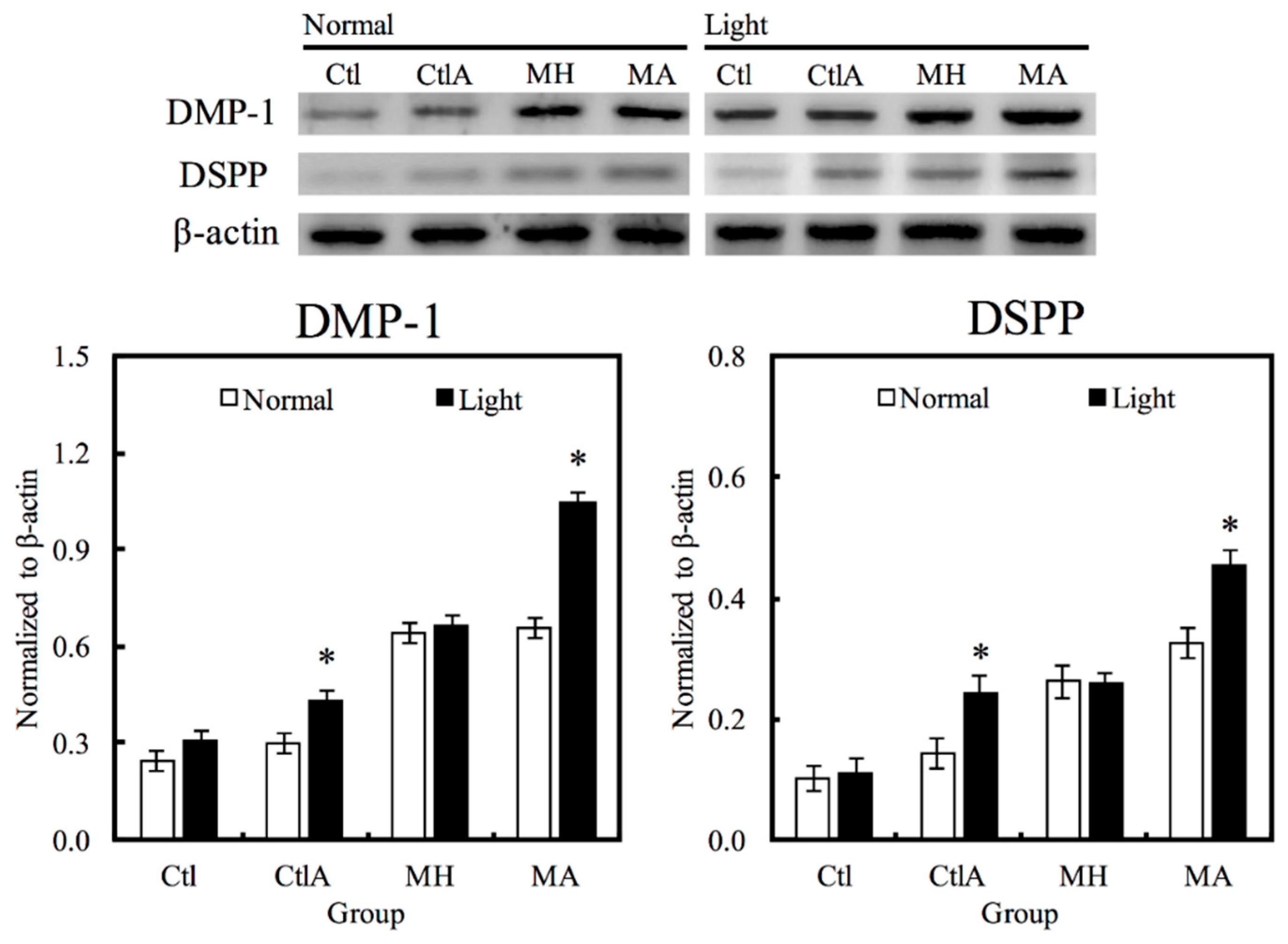 Materials 11 01734 g004