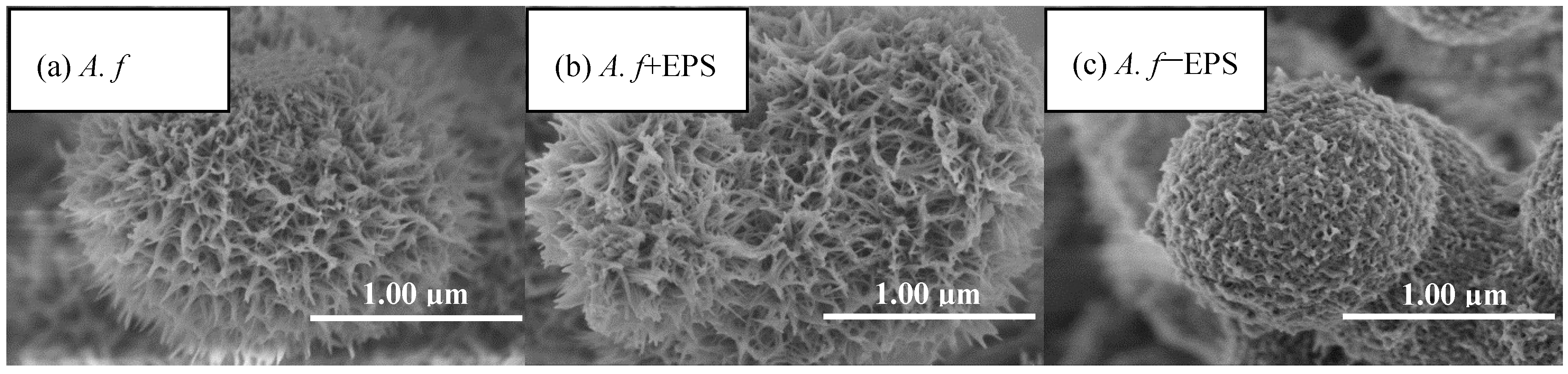 Materials 11 01739 g006