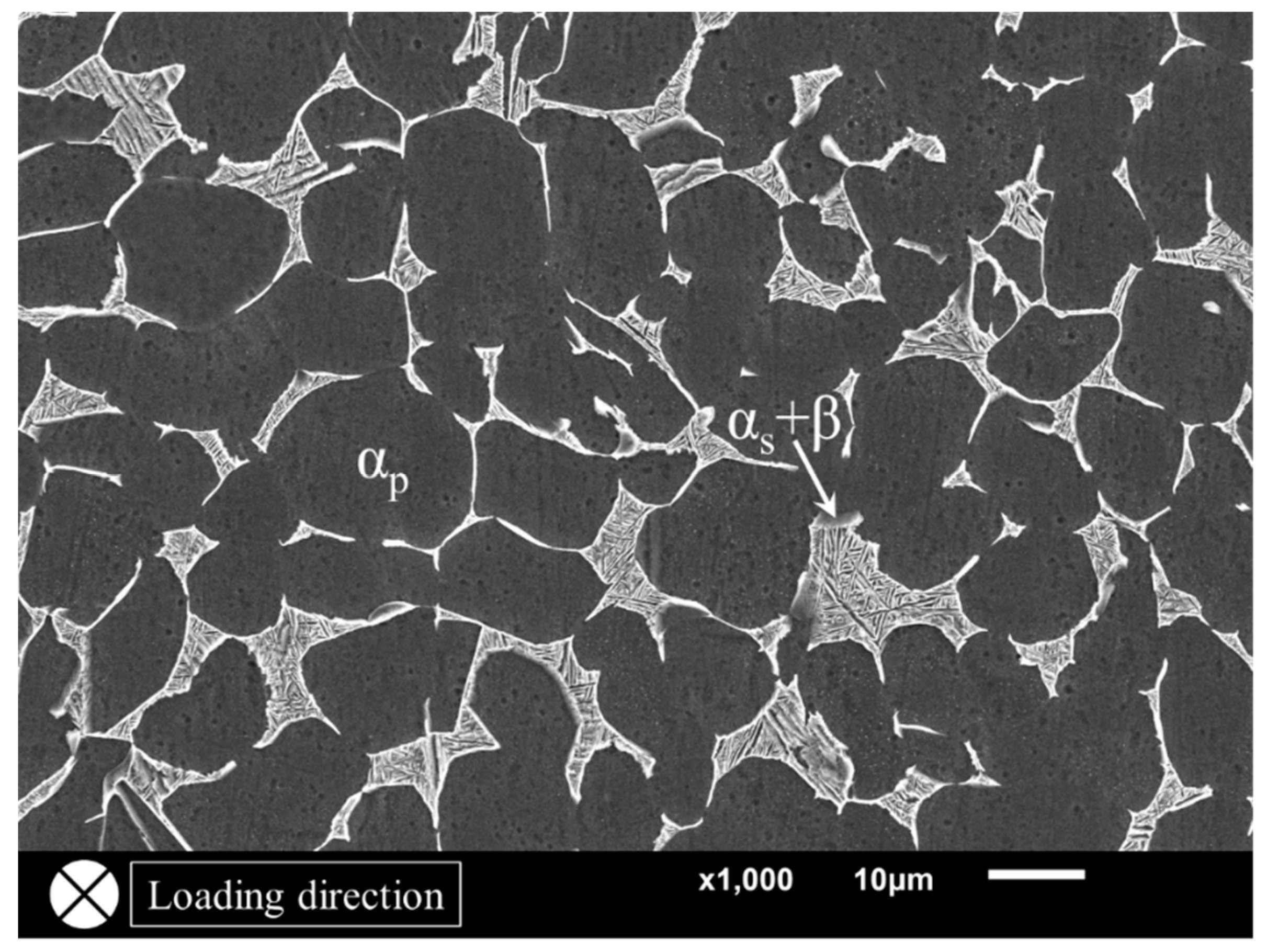 Materials 11 01778 g001