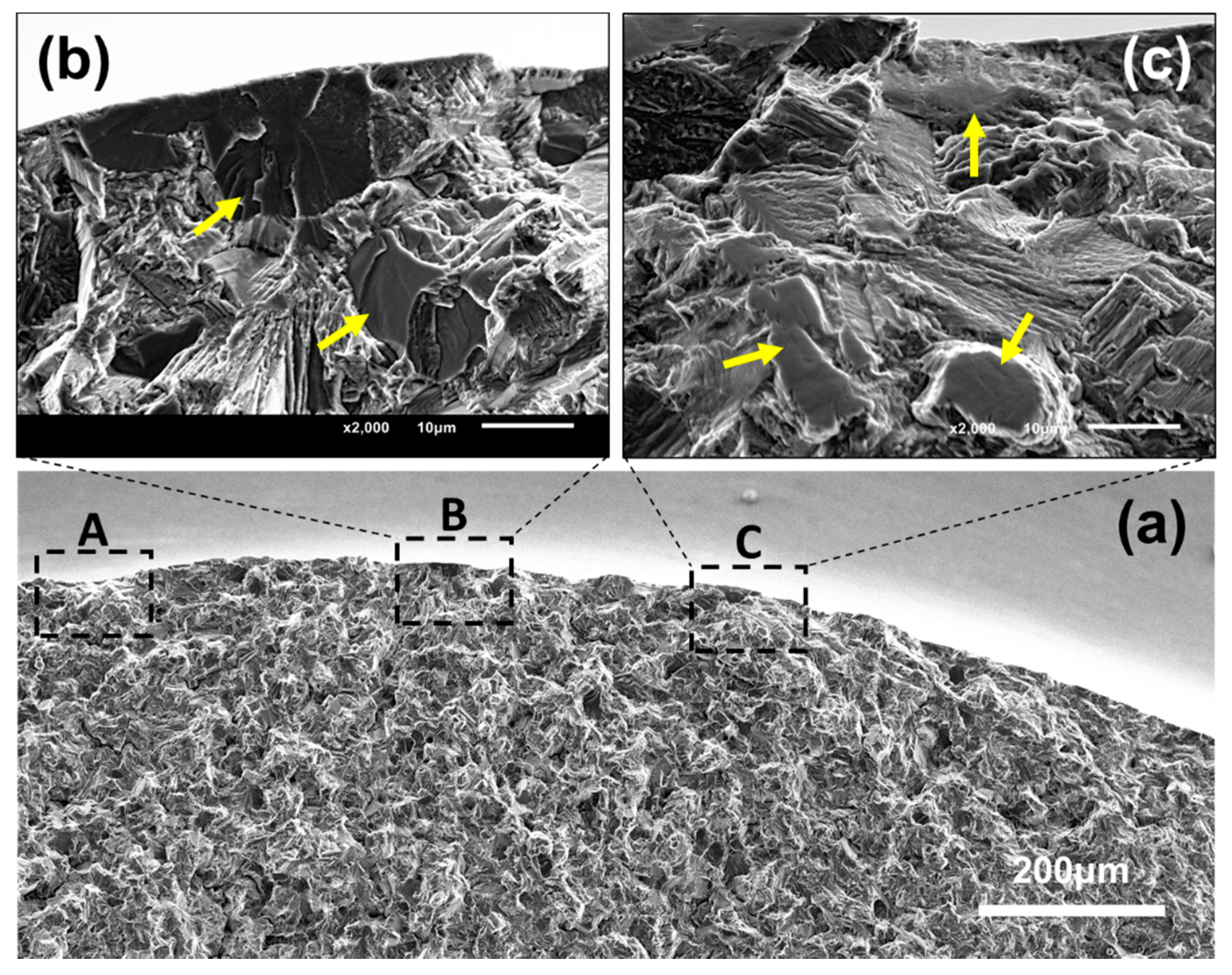 Materials 11 01778 g008