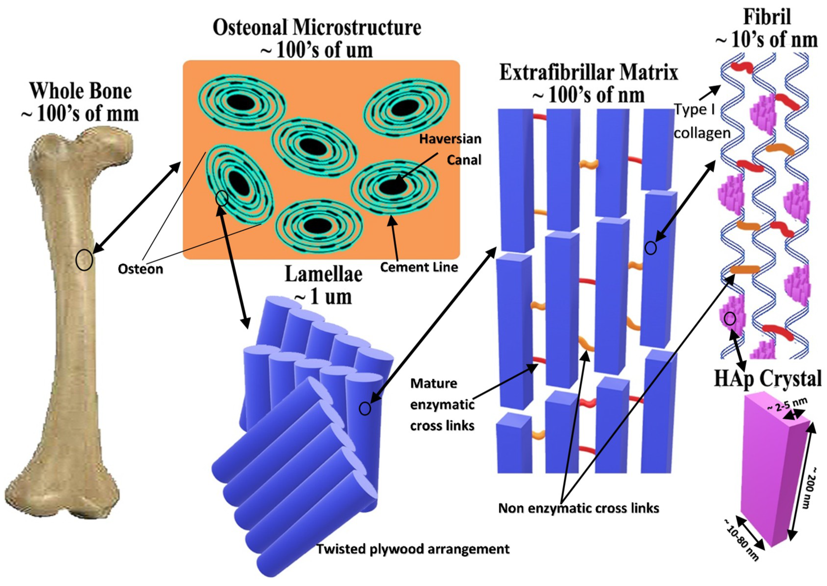 Materials 11 01813 g001