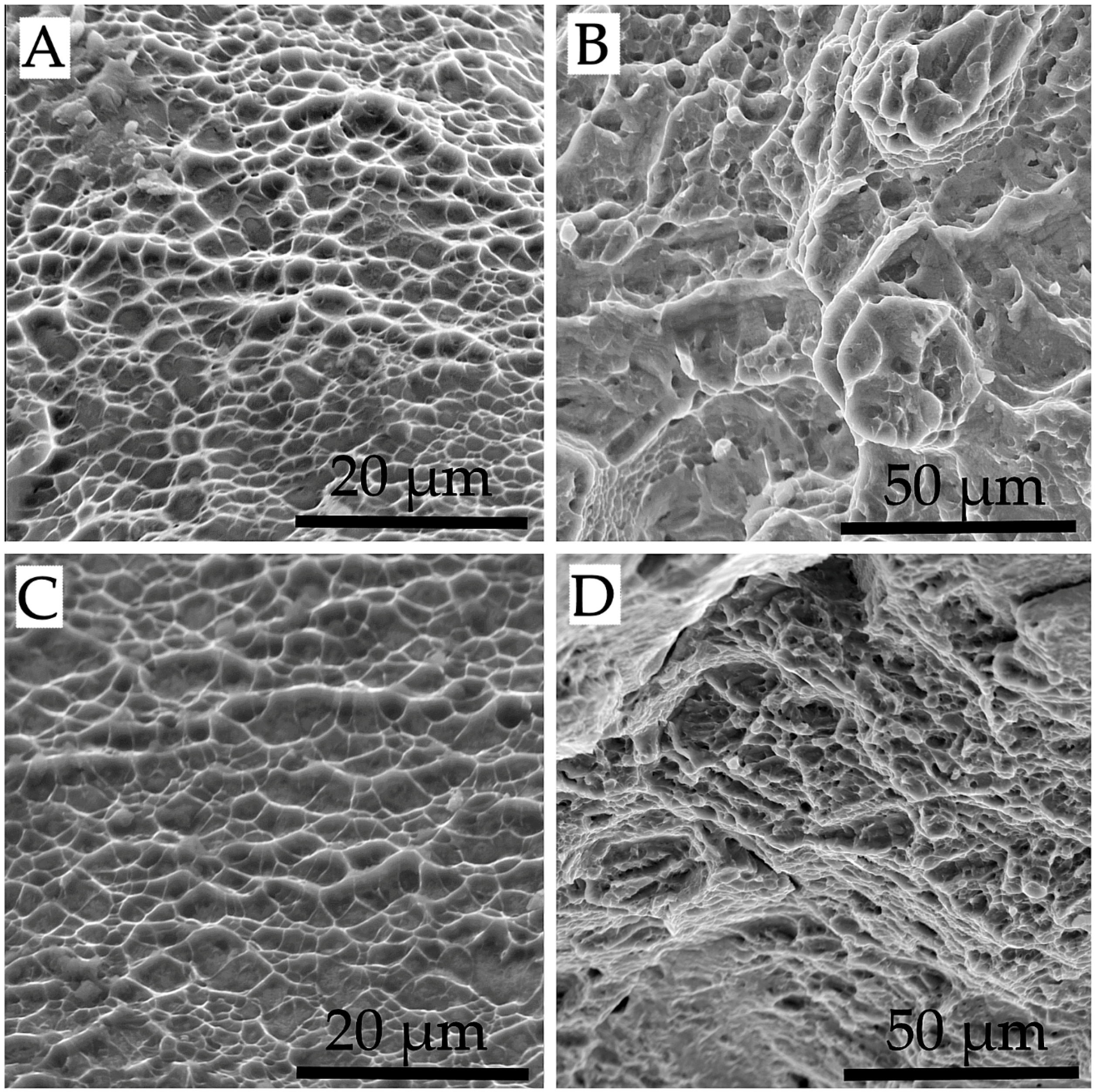 Materials 11 01831 g008