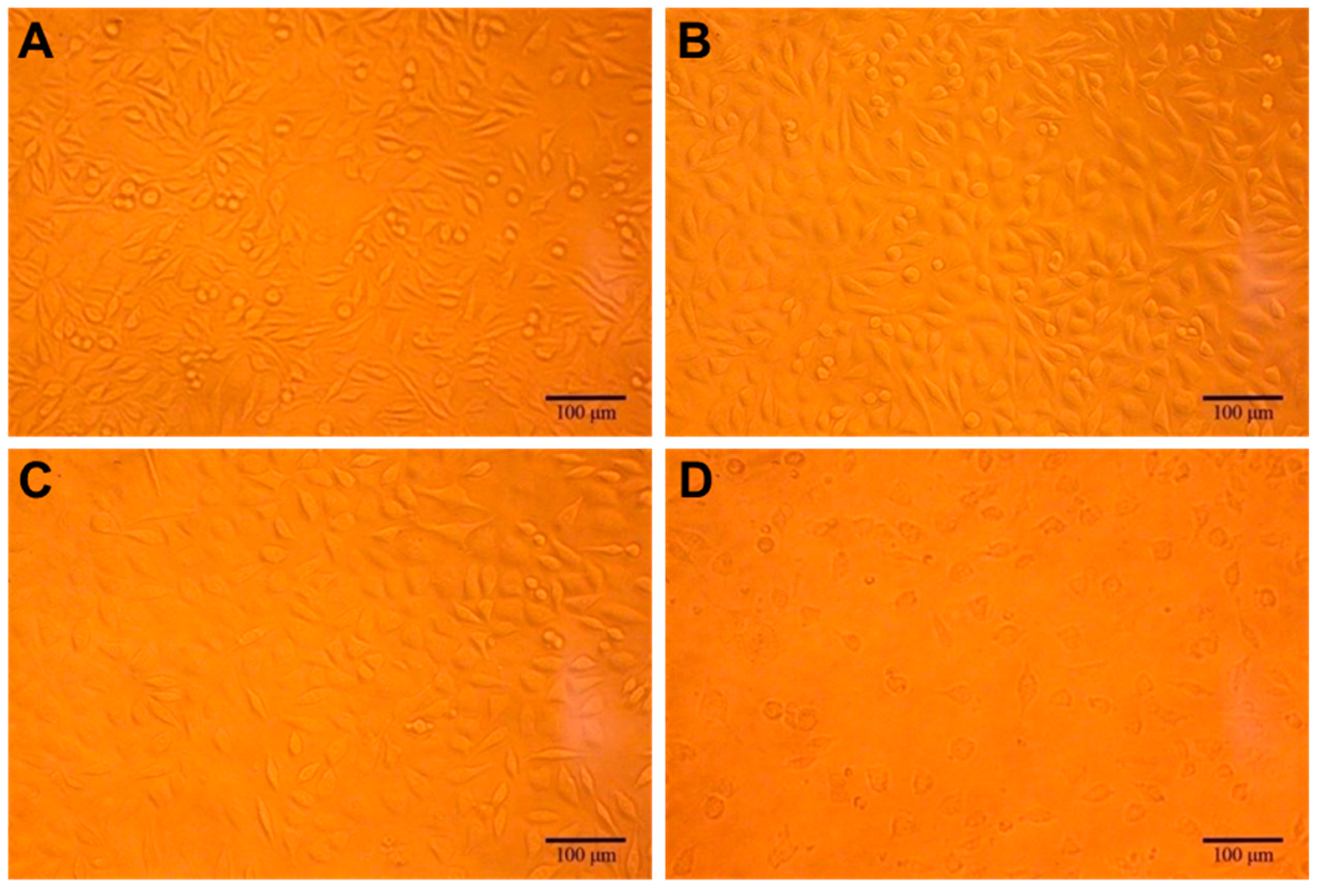 Materials 11 01832 g007 Materials 11 01832 g007