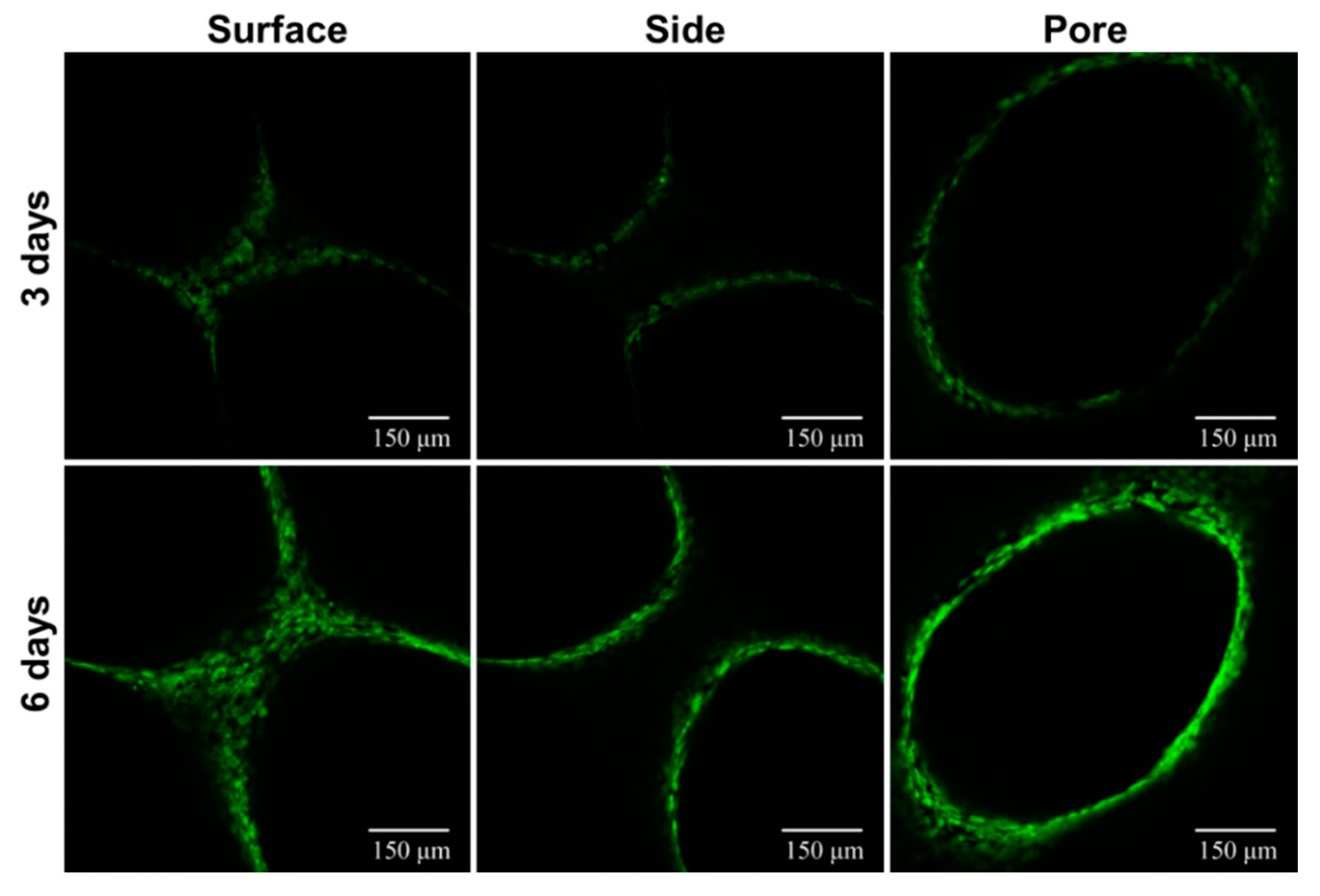 Materials 11 01832 g009 Materials 11 01832 g009