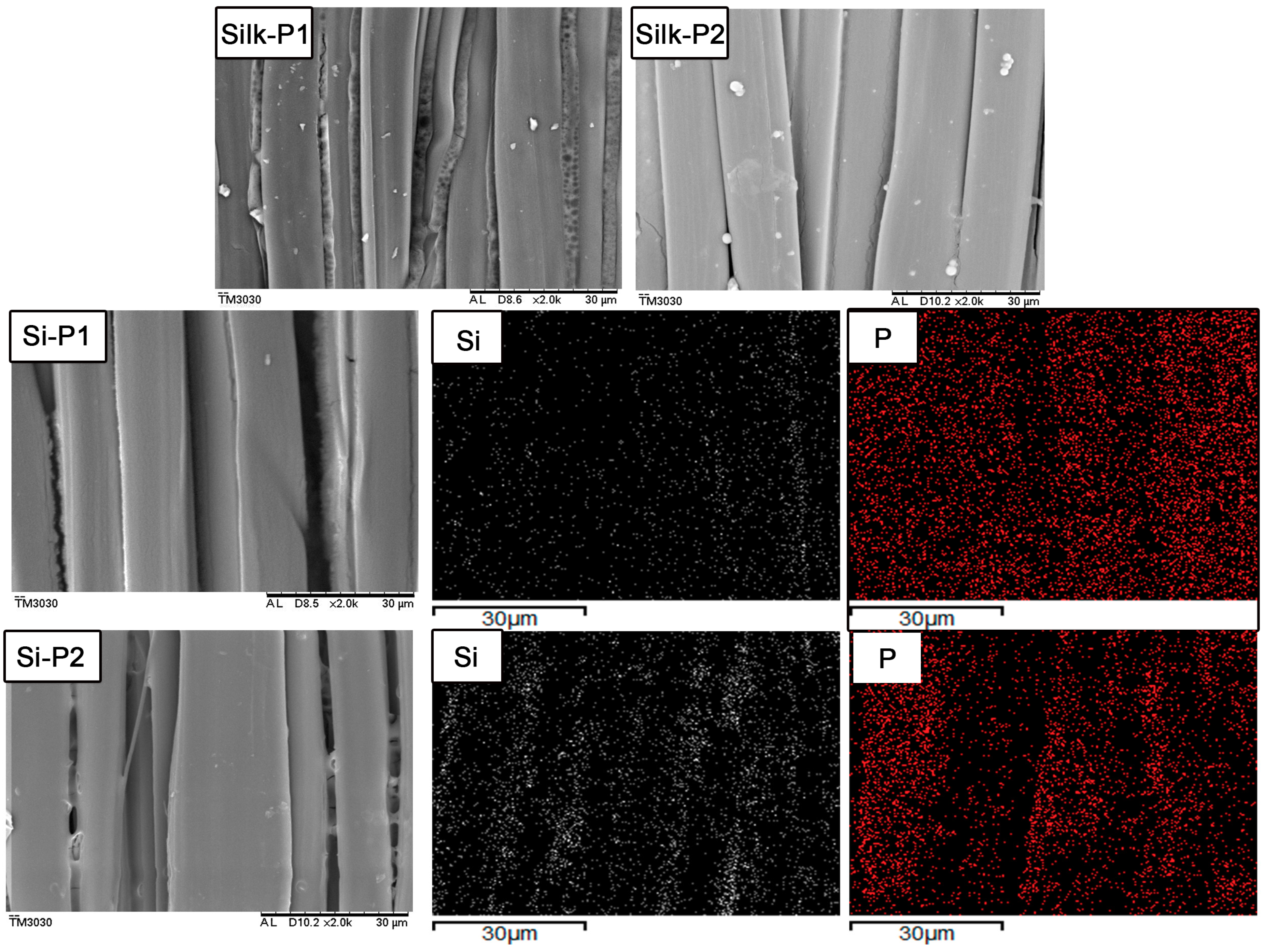 Materials 11 01842 g003